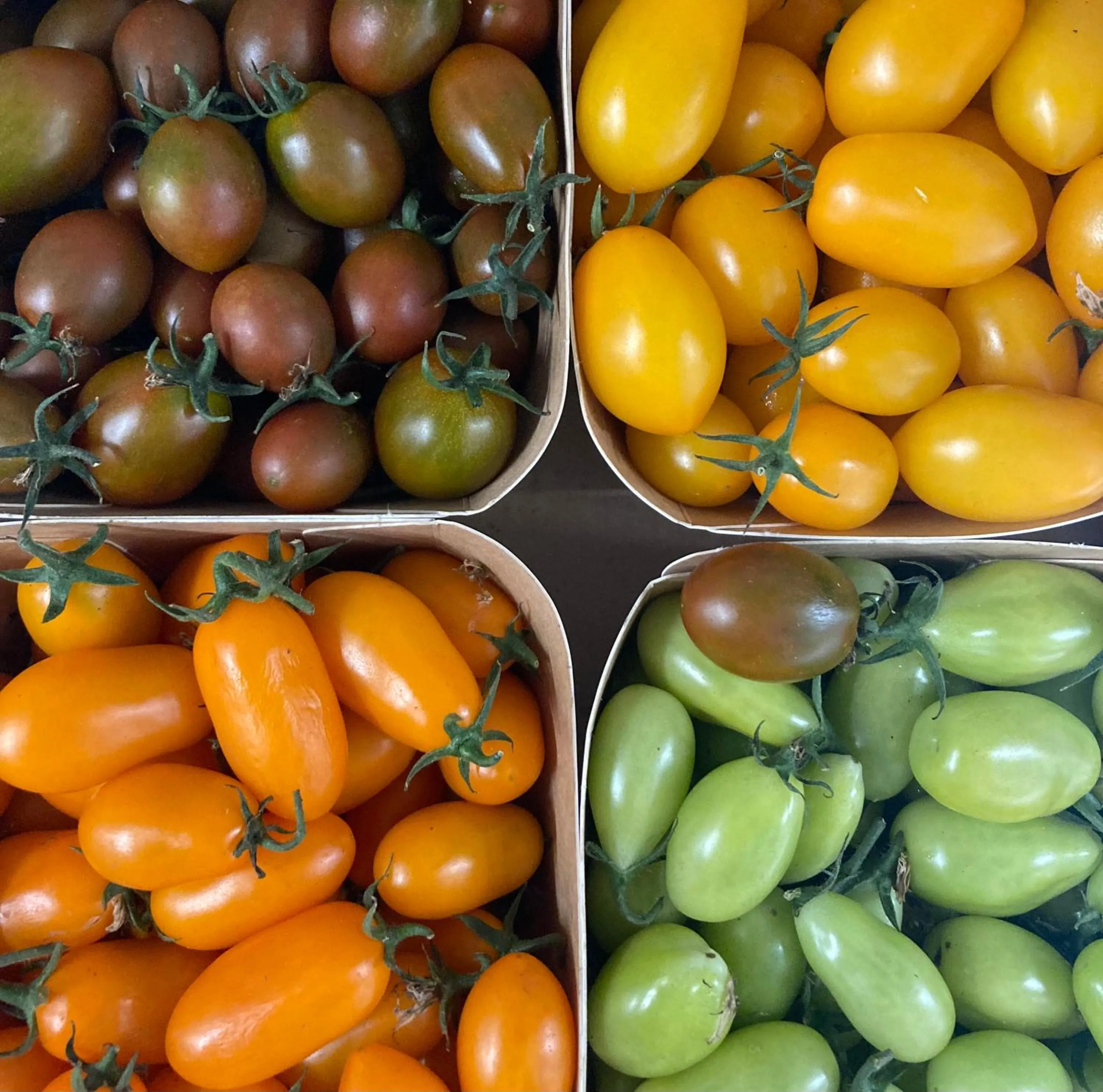 Restaurant/places to eat in Hotel Ghironi