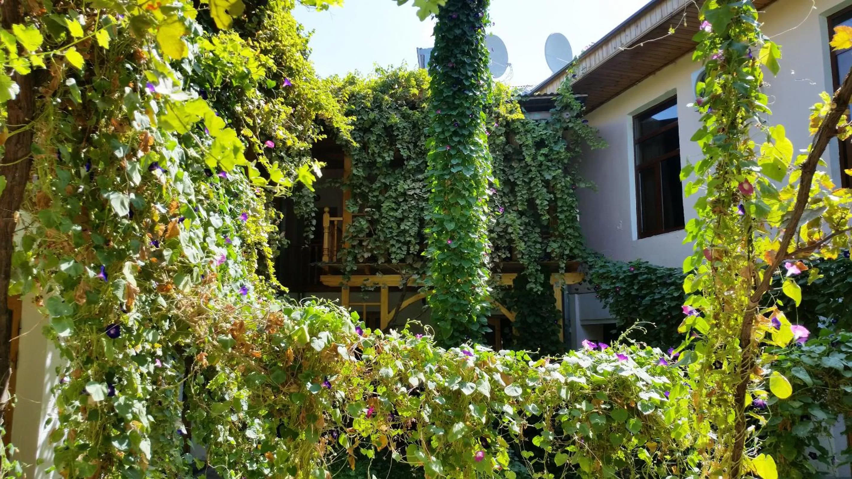 Property building, Garden in Jahongir Guest House