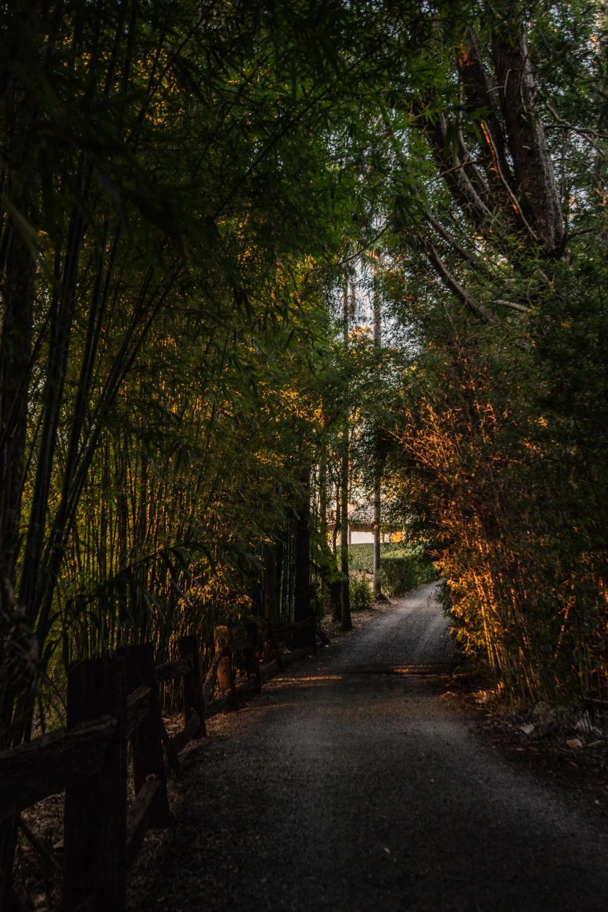 Garden in Escarpment Retreat & Day Spa for Couples