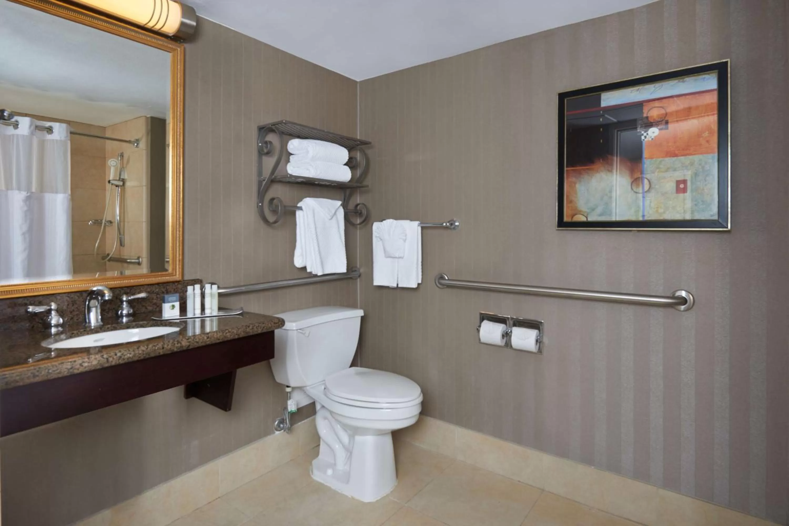 Bathroom in DoubleTree by Hilton Dallas Market Center
