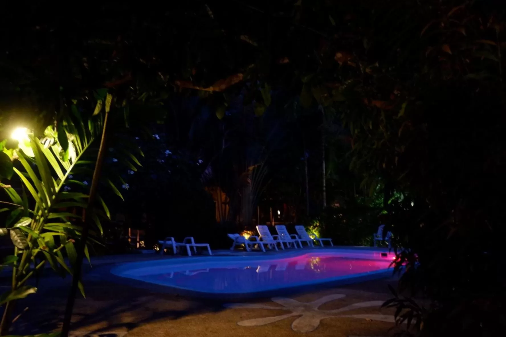 Night in Vipa Tropical Resort