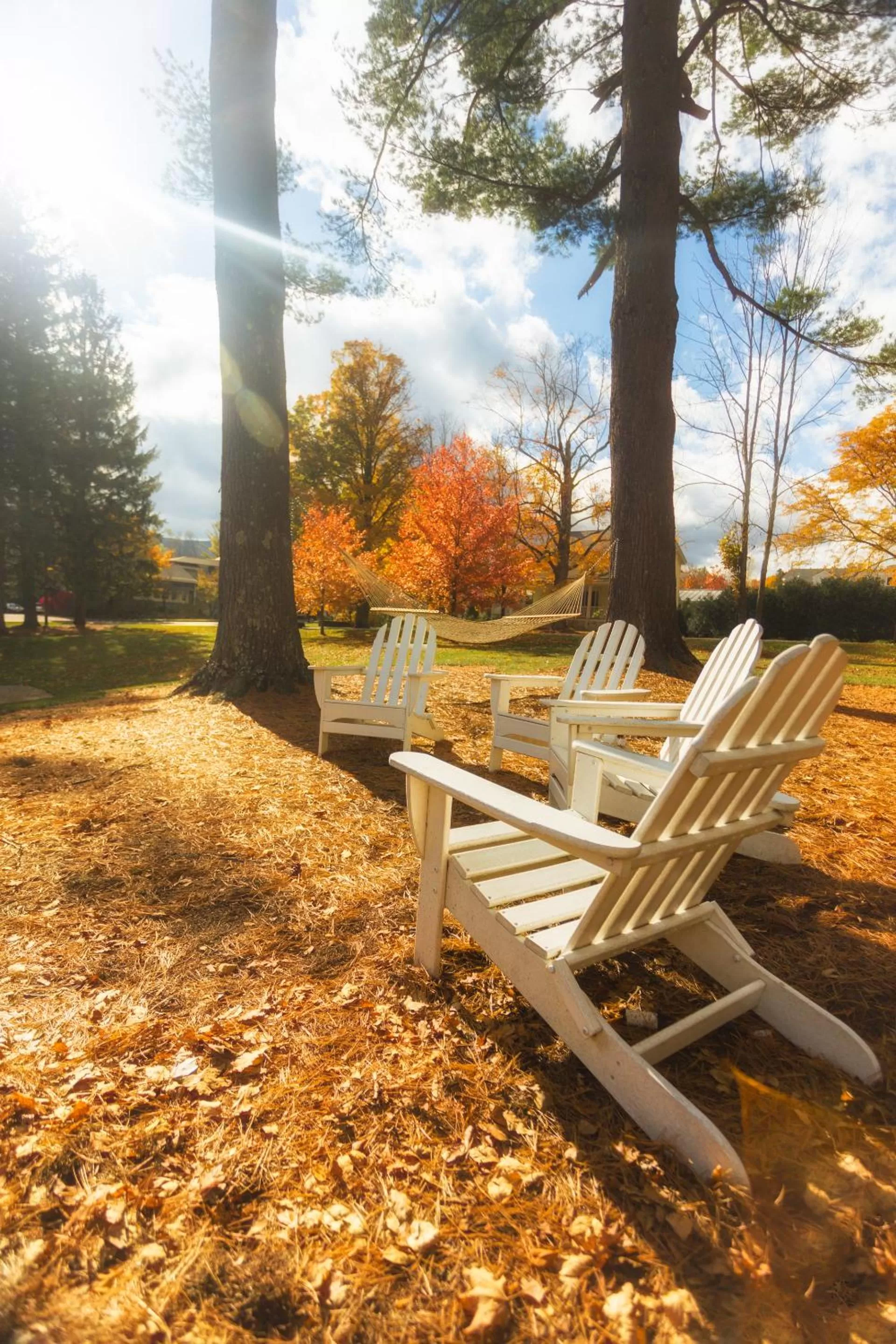 View (from property/room) in The Inn at Manchester