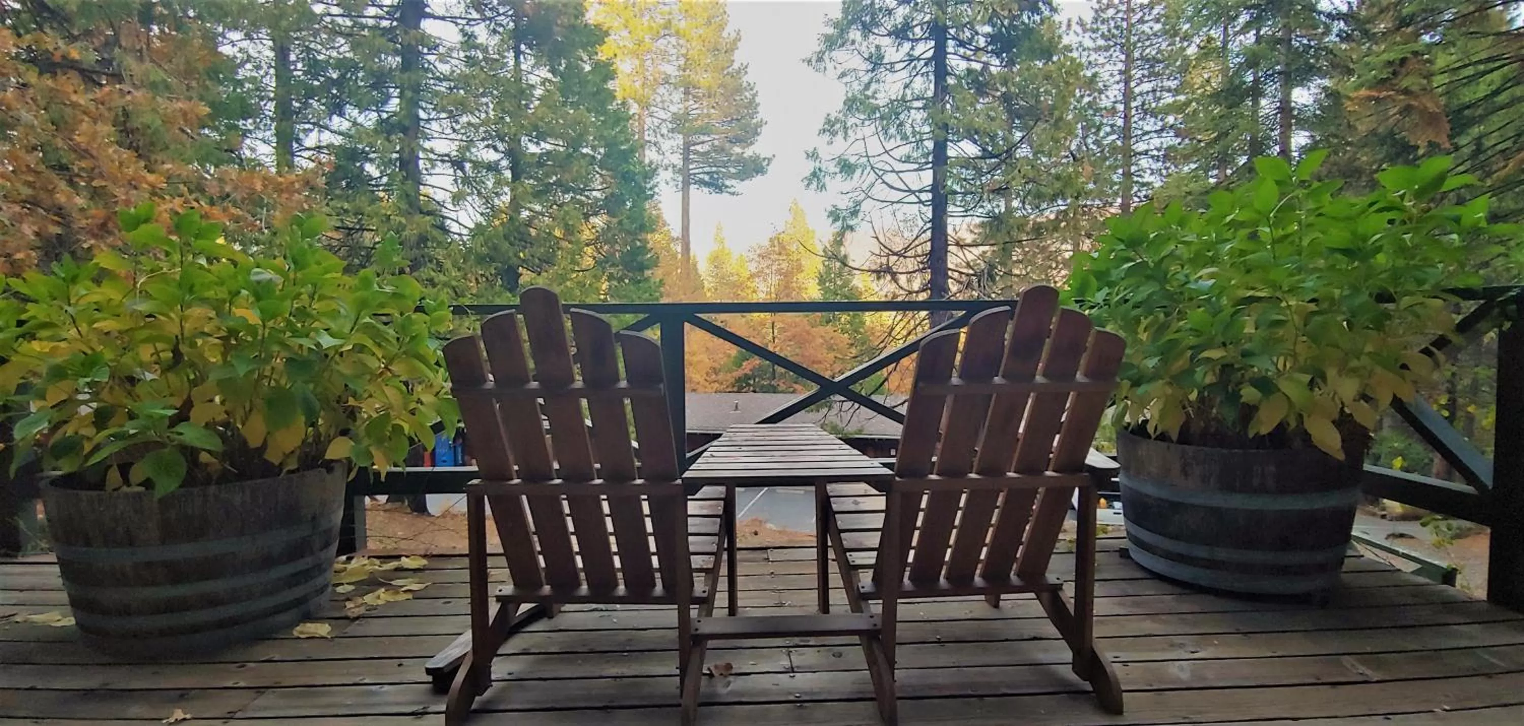 Garden view in Narrow Gauge Inn