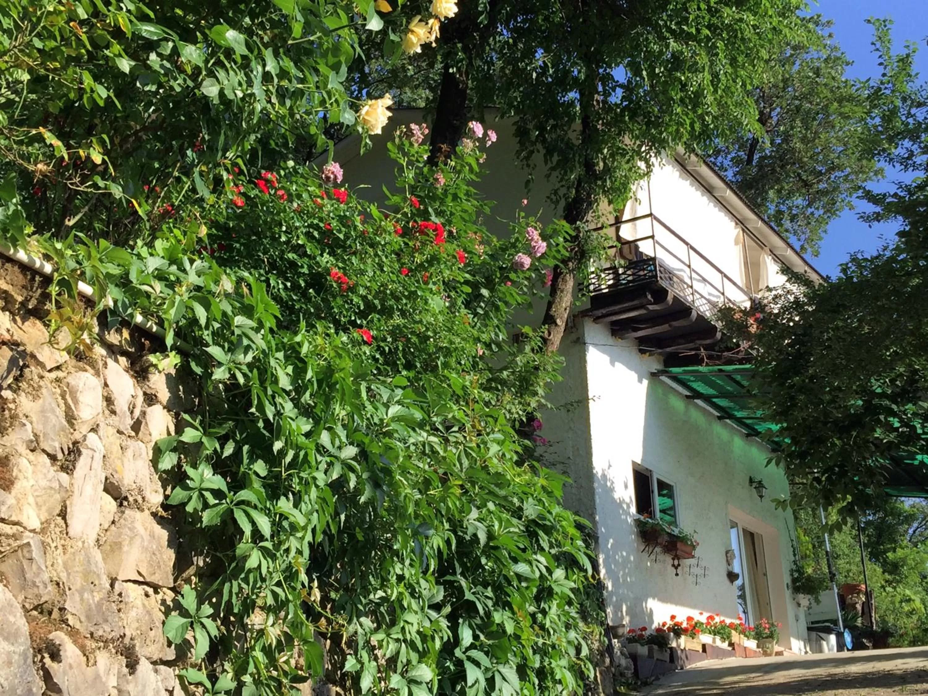 Property building in Su da noi