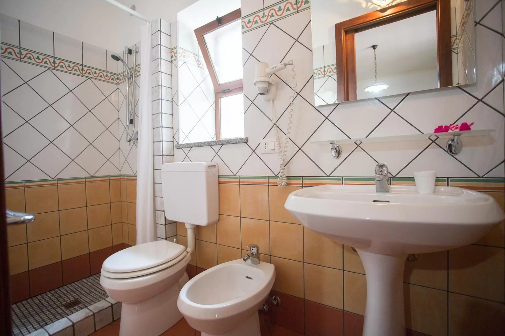 Shower in Diana Brown B&B Affittacamere