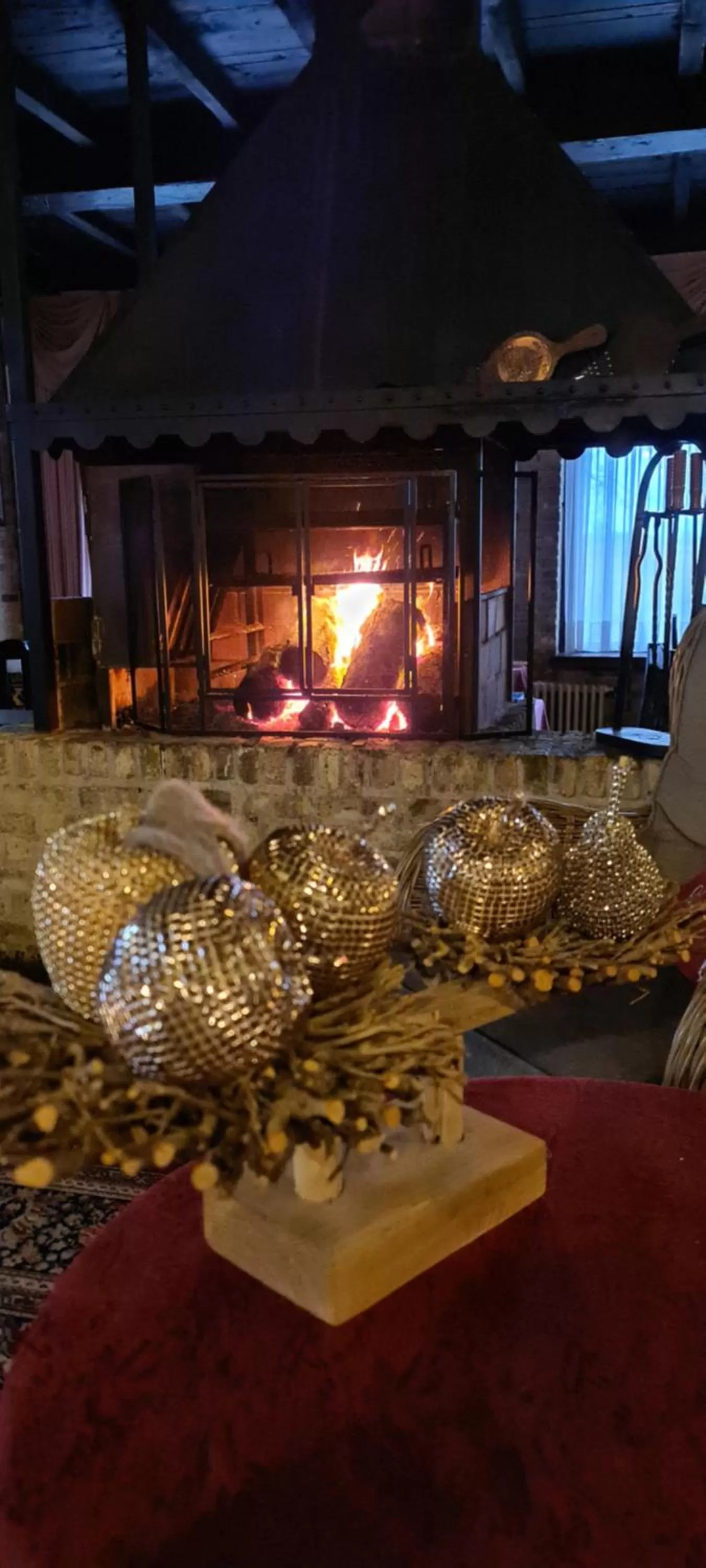 flat iron in Hotel Landhuis 't Wilgenerf