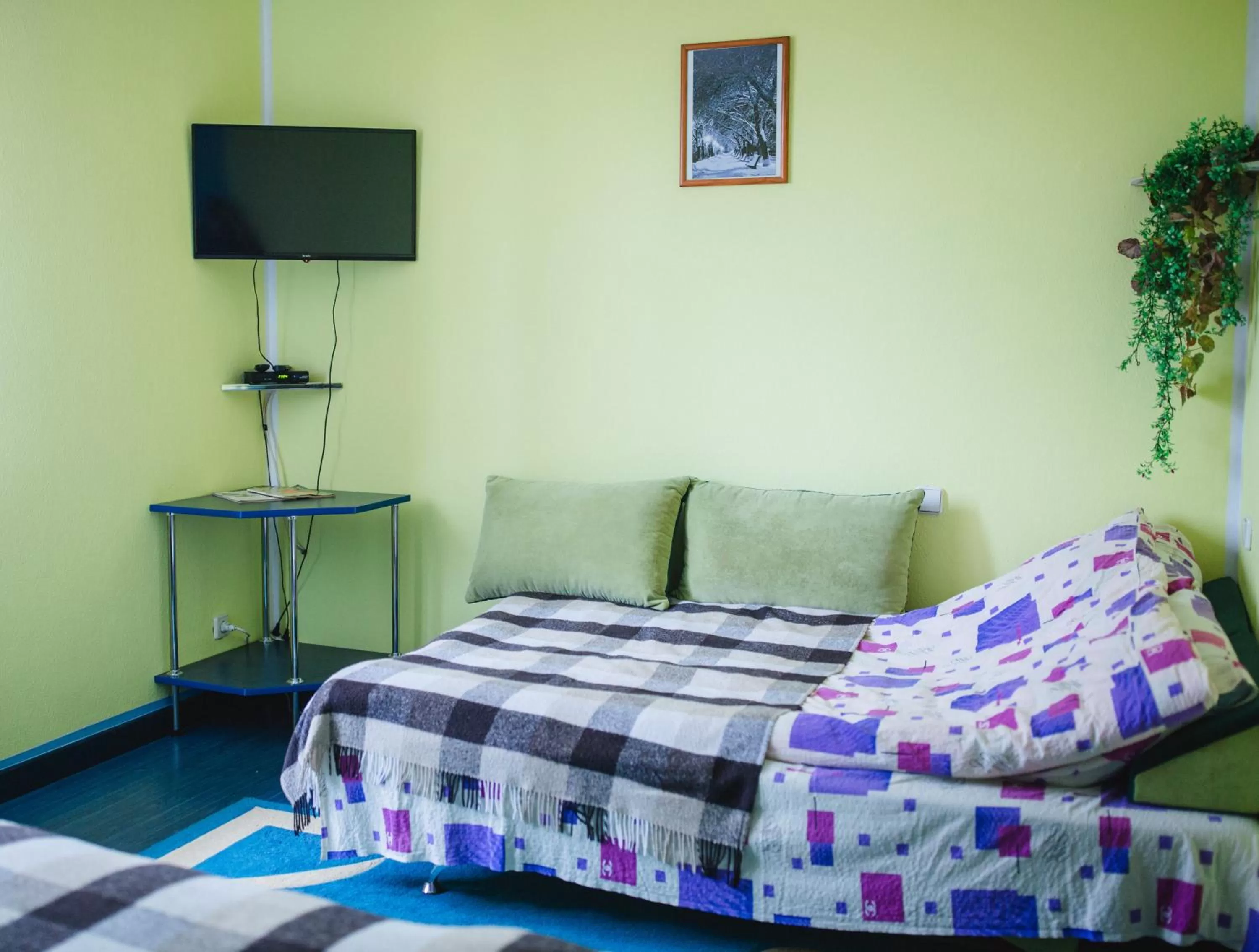 Bed in Kolyba Opryshkiv