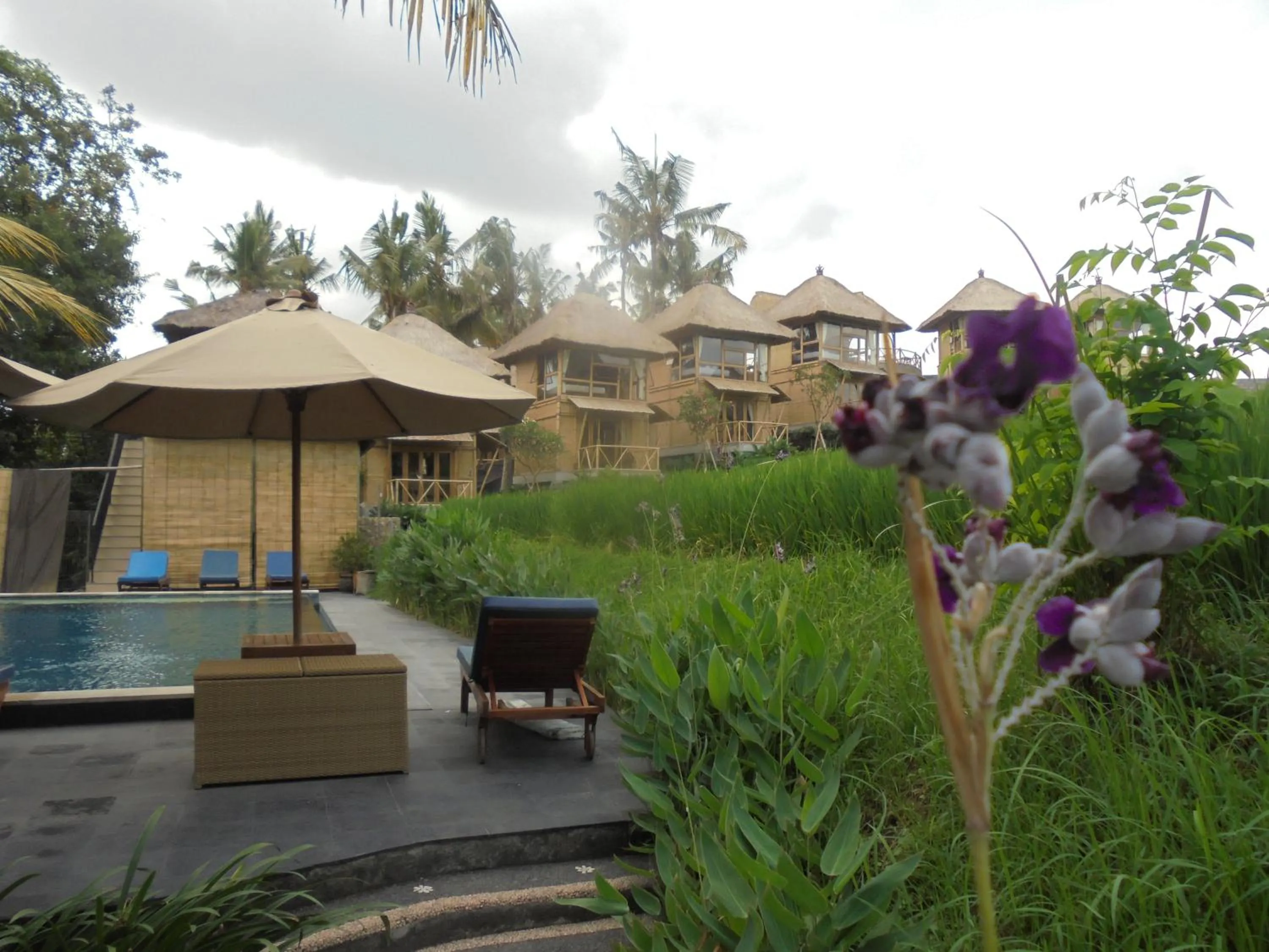 Natural landscape in Biyukukung Suite & Spa