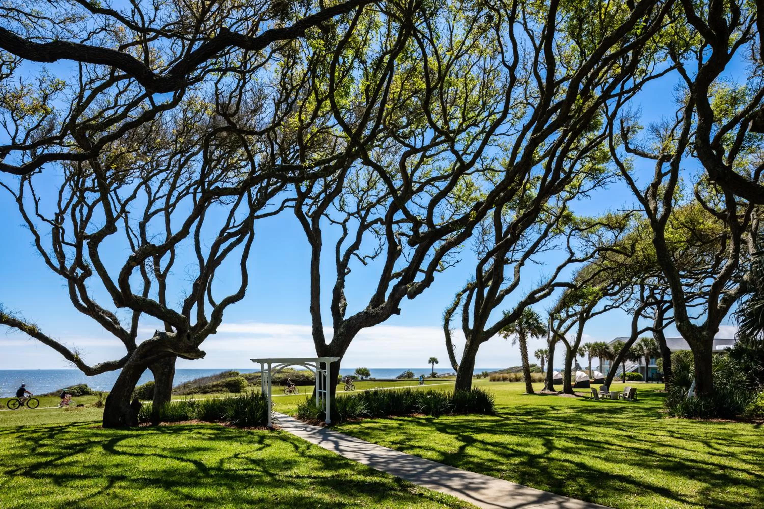 Natural landscape in Beachview Club Hotel