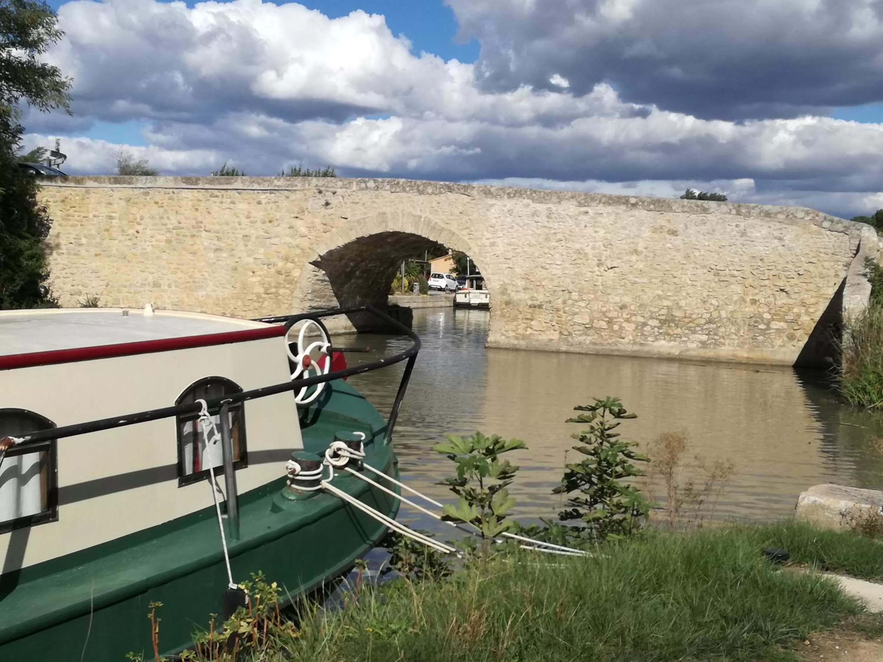 La pause sous le pin