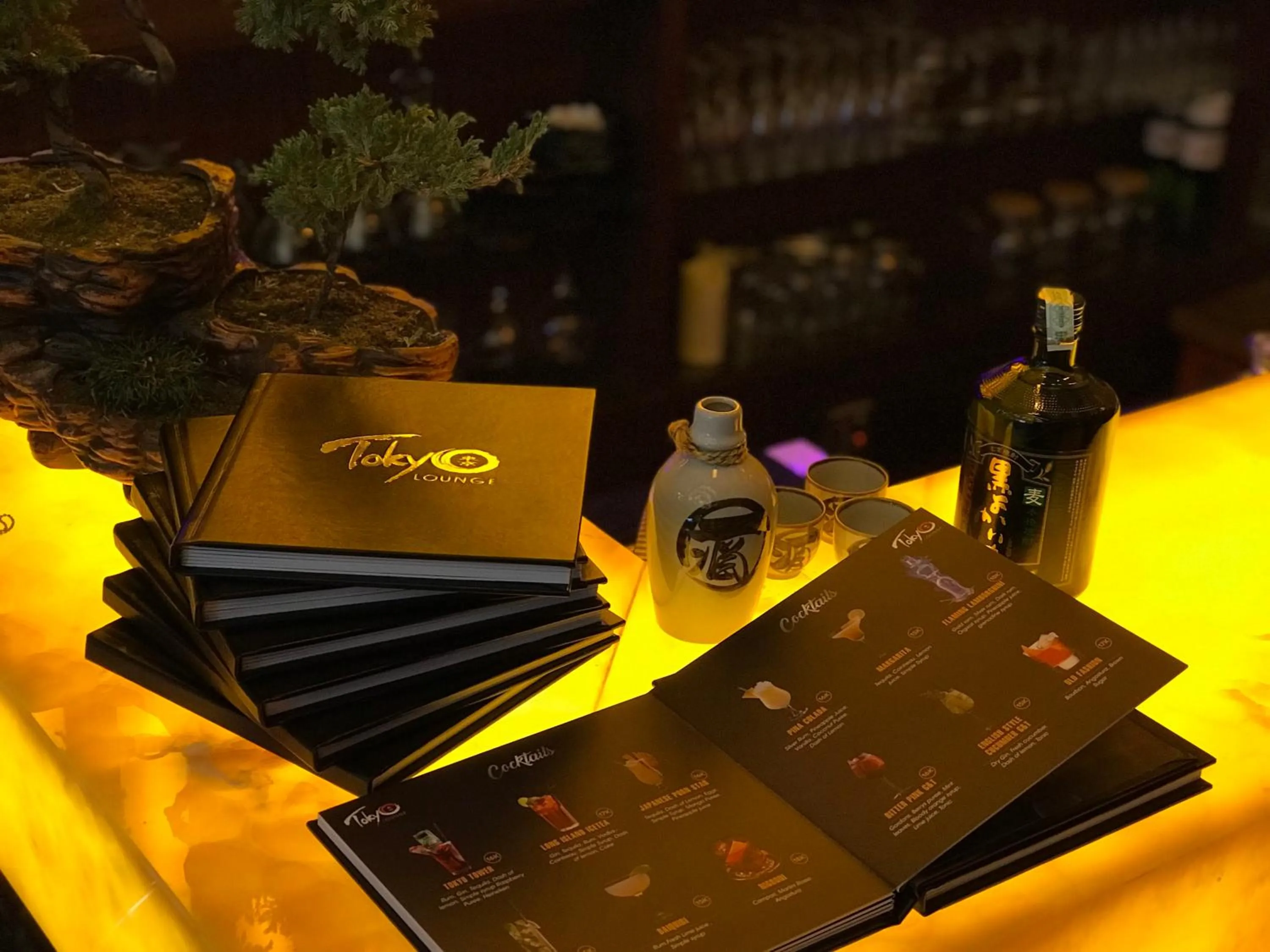 Lounge or bar in Flower Hotel Ulaanbaatar