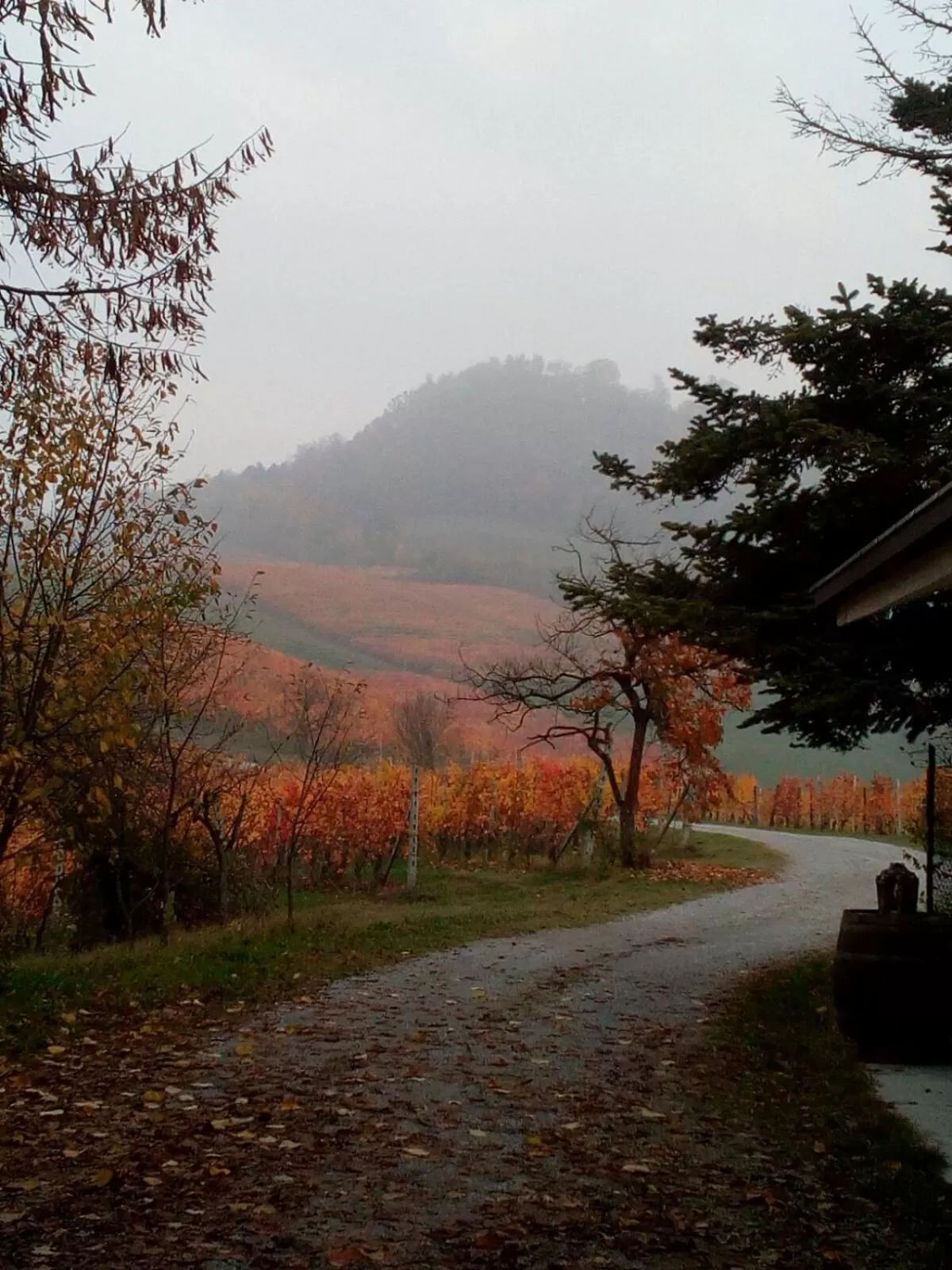 On site in Cascina Torello