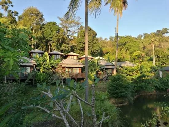 Natural landscape in Thanya Beach Resort - SHA Plus