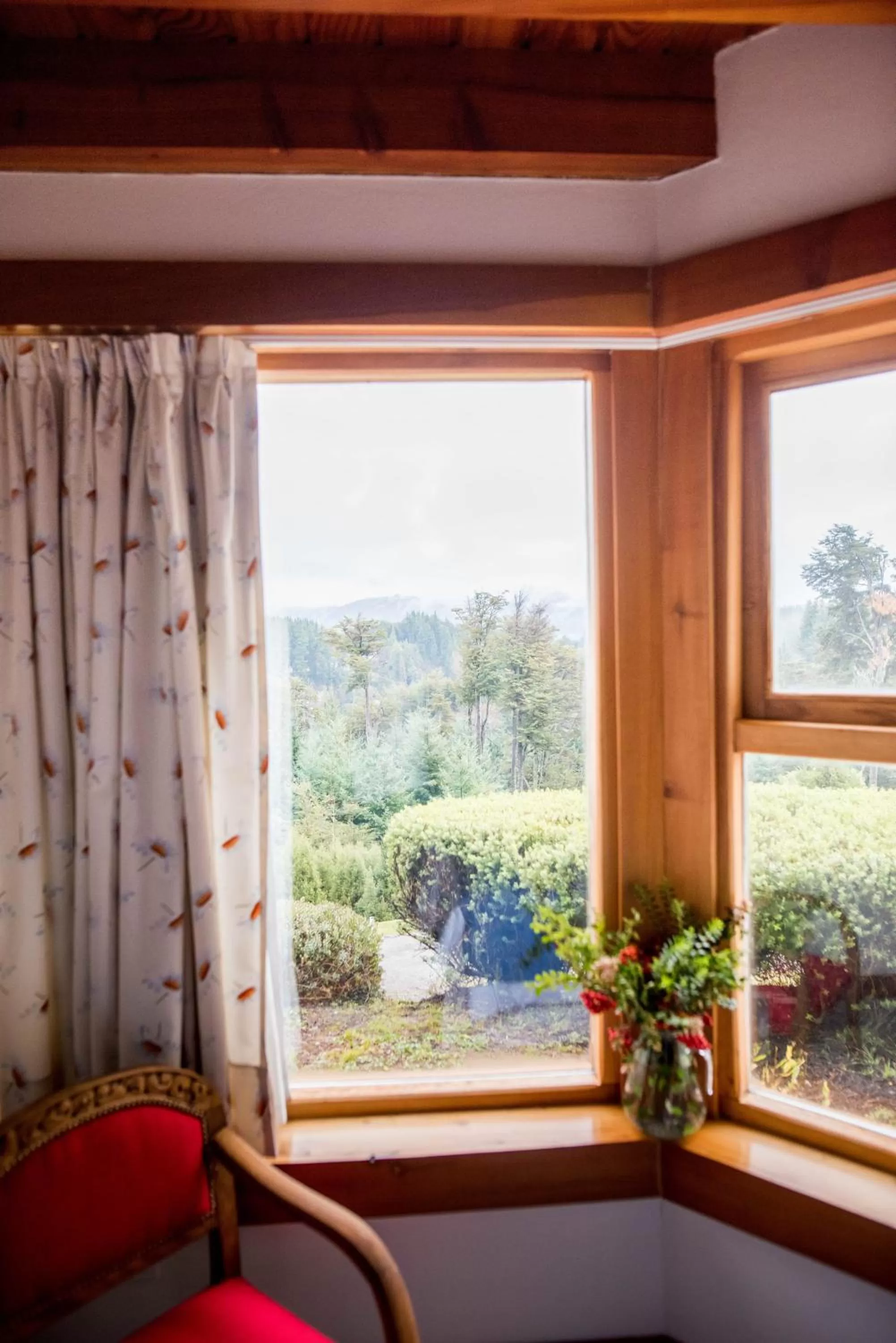 Decorative detail in Amigos del Bosque