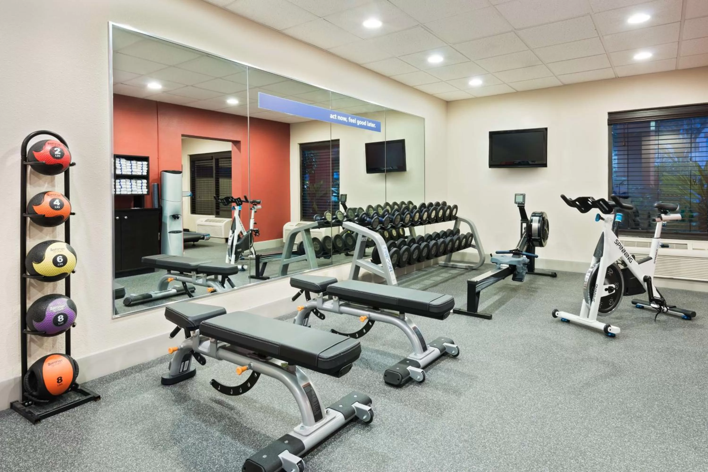 Fitness centre/facilities in Hampton Inn Ellenton/Bradenton