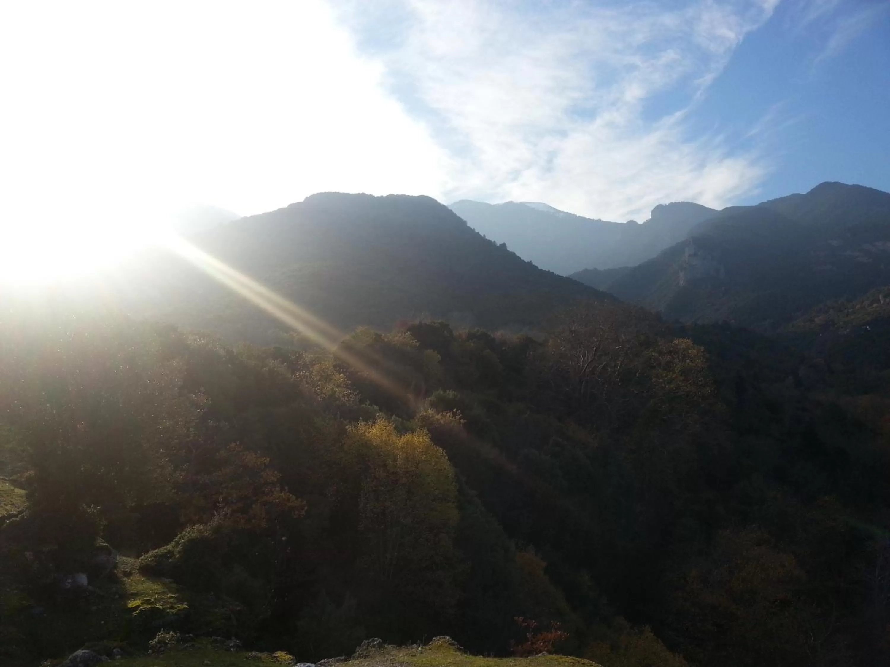 Activities in Alexandros Hotel