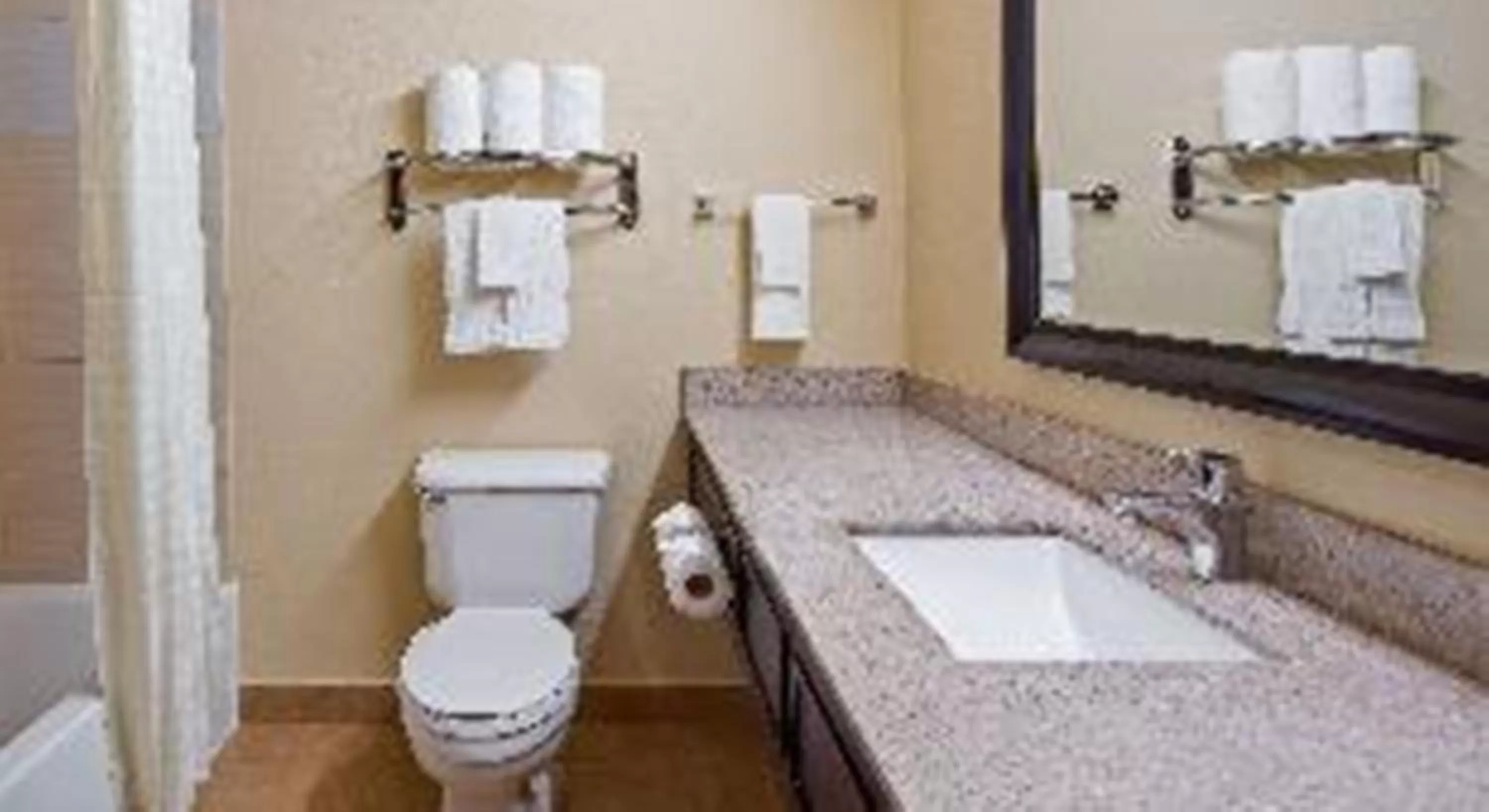 King Room with Bathtub - Mobility Accessible/Non-Smoking in Best Western Plus Addison/Dallas Hotel