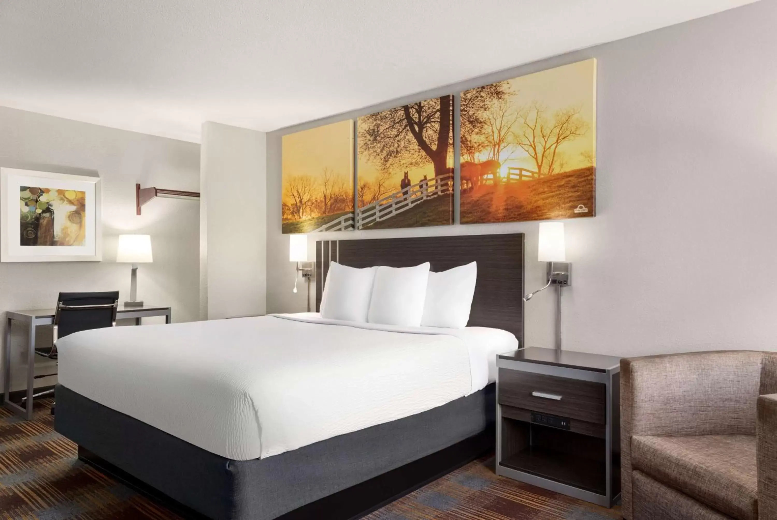 King Room with Roll-in Shower - Mobility Access/Non-Smoking in Days Inn by Wyndham San Antonio Near Fiesta Park King Room with Roll-in Shower - Mobility Access/Non-Smoking in Days Inn by Wyndham San Antonio Near Fiesta Park