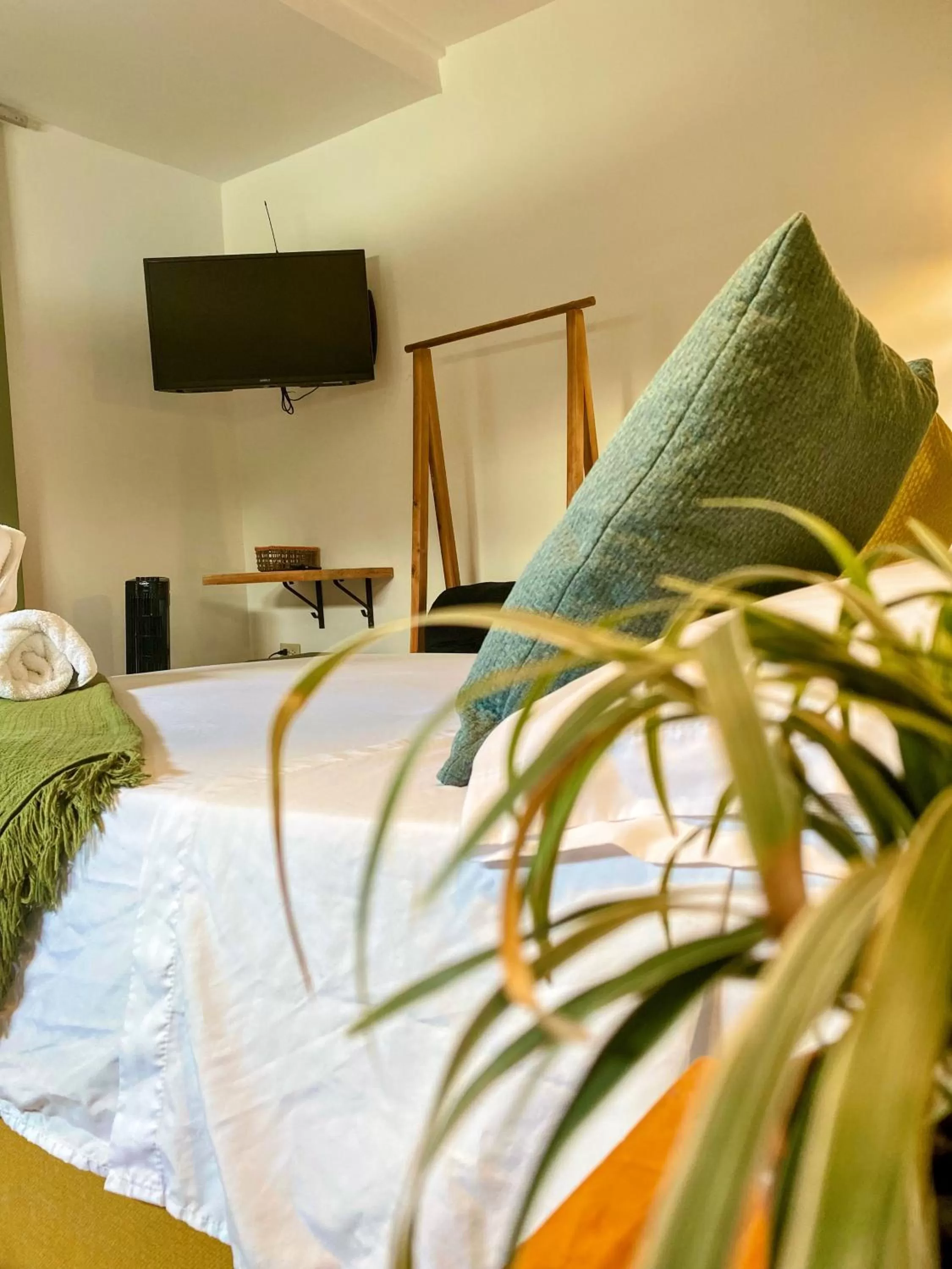 Seating Area in Luum Guest House