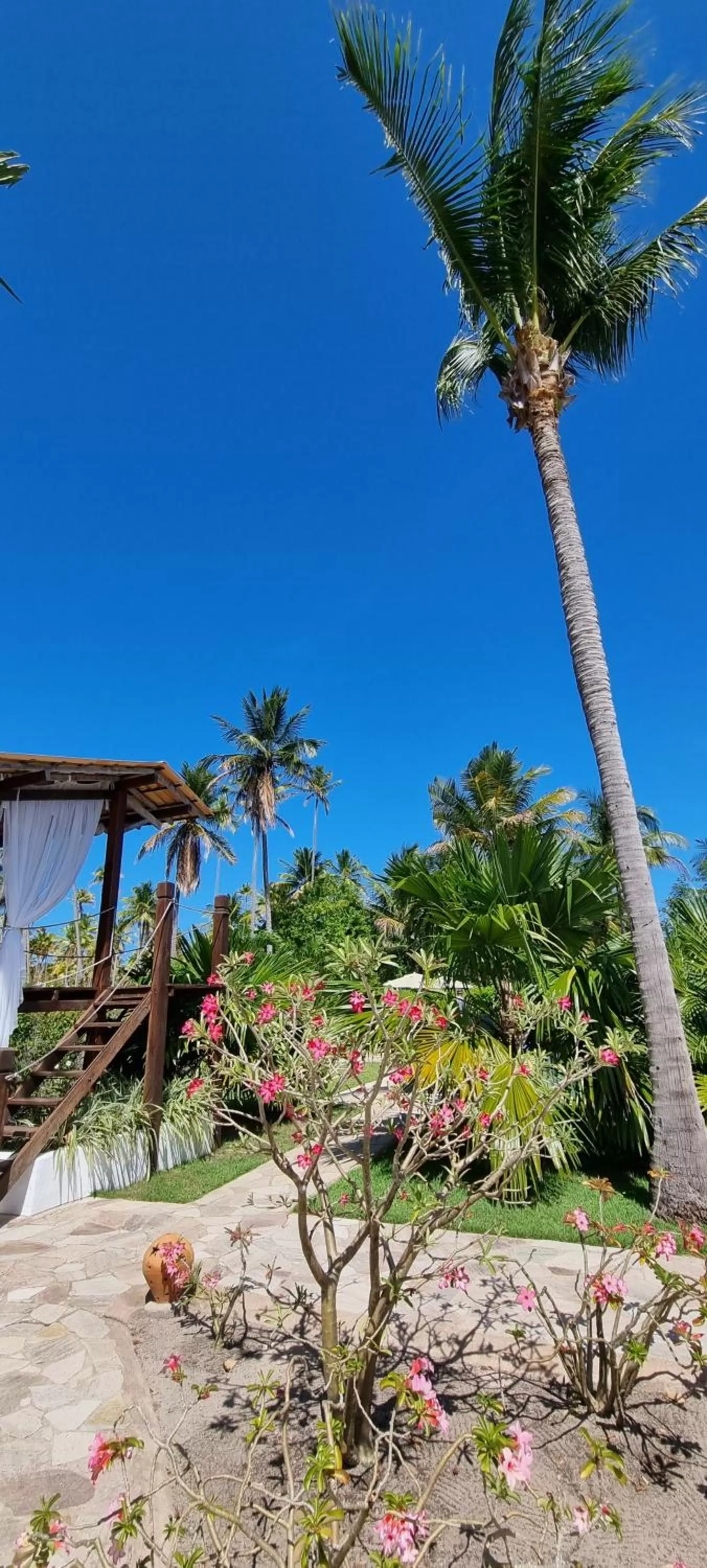 Garden in Pousada Villages Boutique Hotel