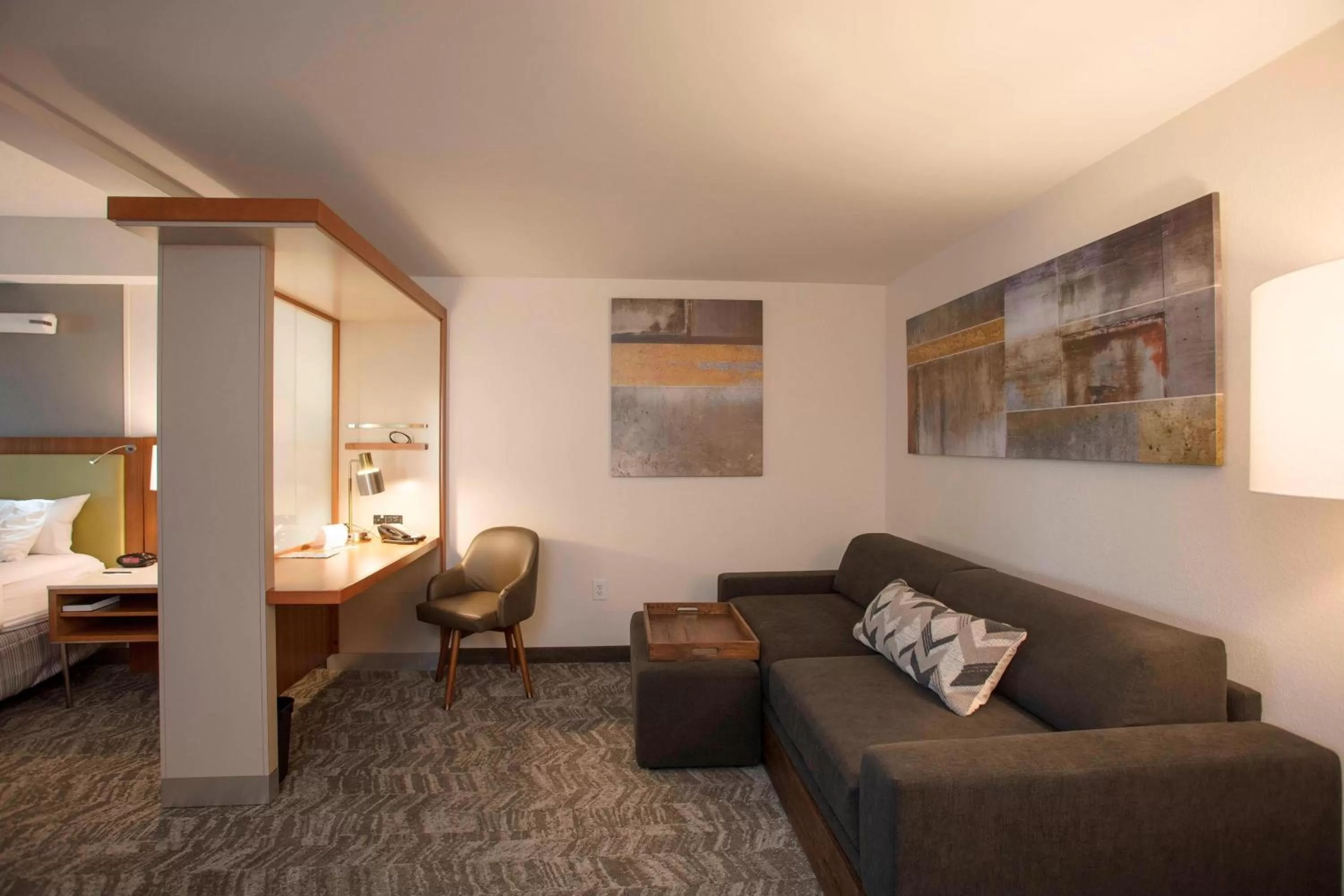 King Studio - Hearing Accessible in SpringHill Suites by Marriott Athens West