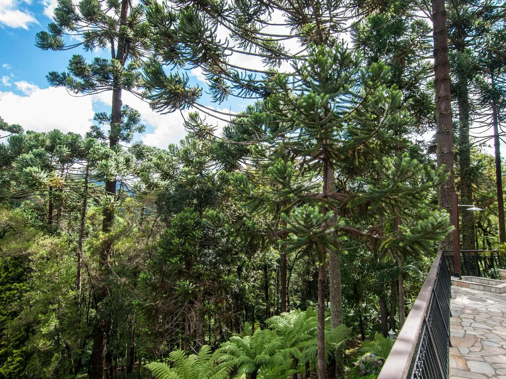 Garden in Pousada Ricanto Amore Mio