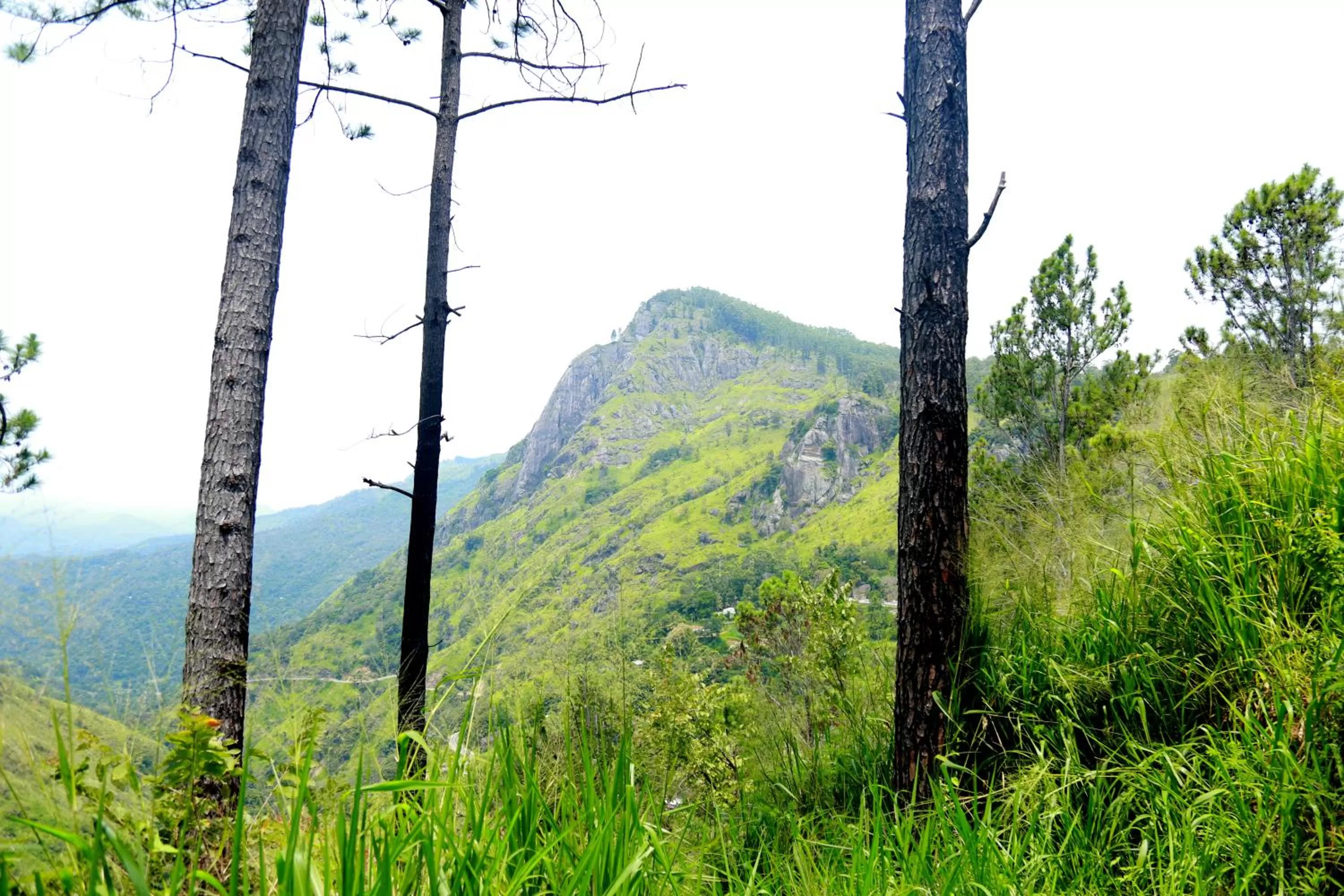 Natural Landscape in Dream view