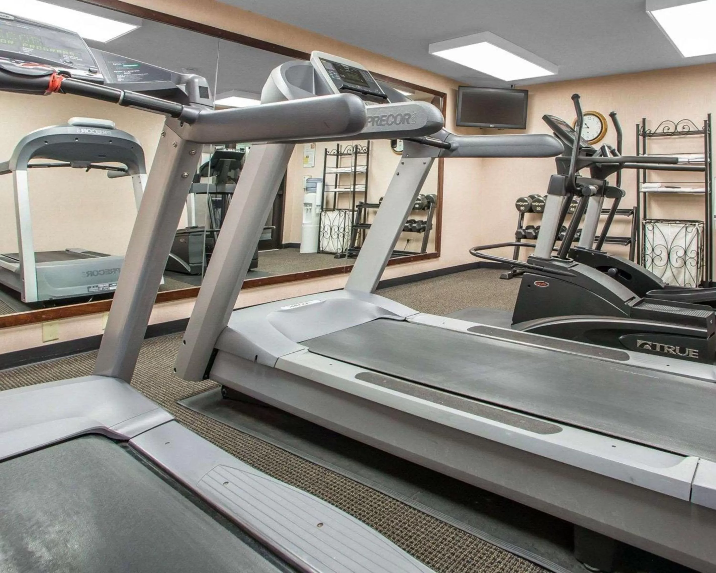 Fitness centre/facilities in Quality Inn Schaumburg - Chicago near the Mall