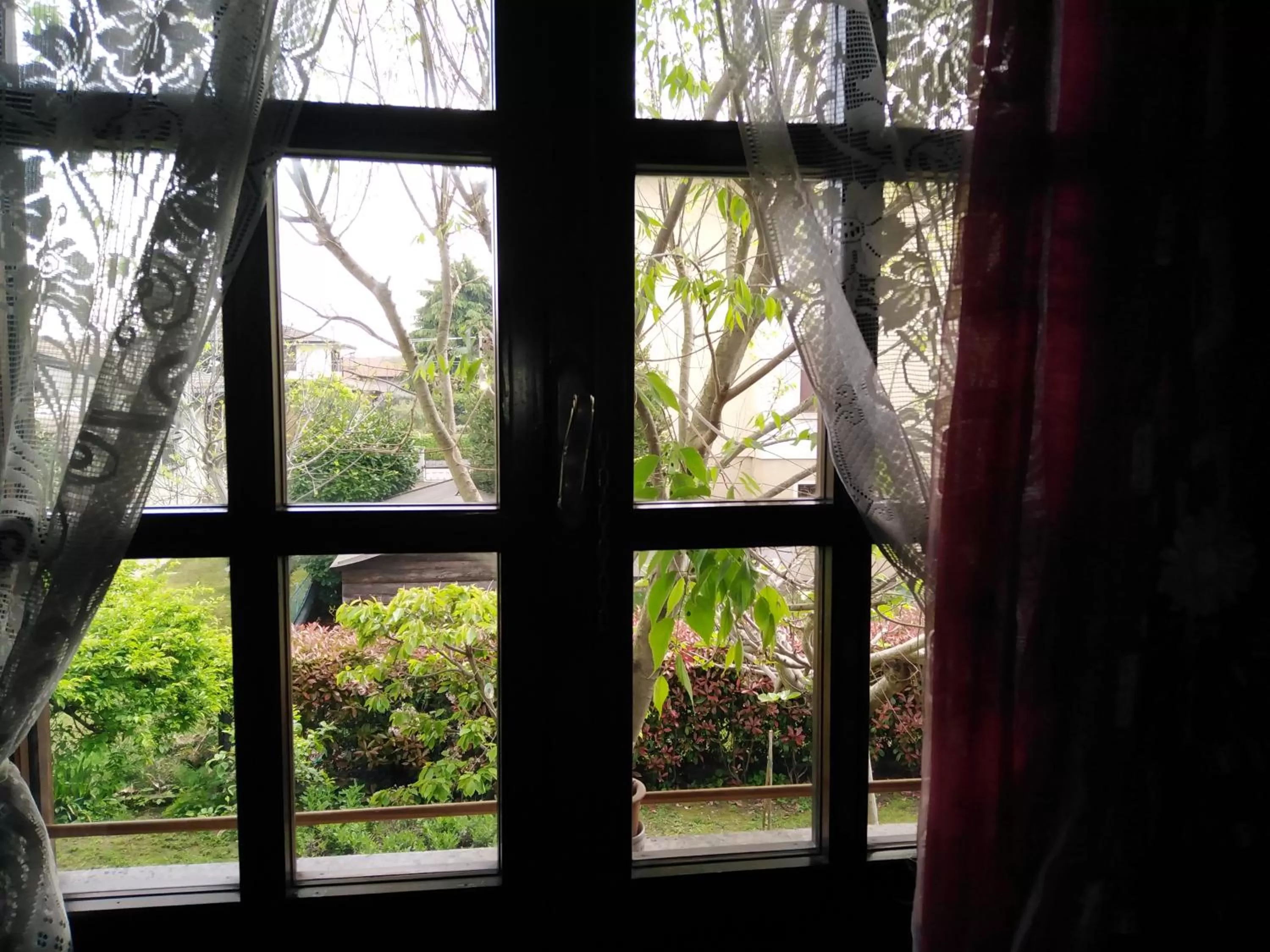 Garden view in Casa Irene