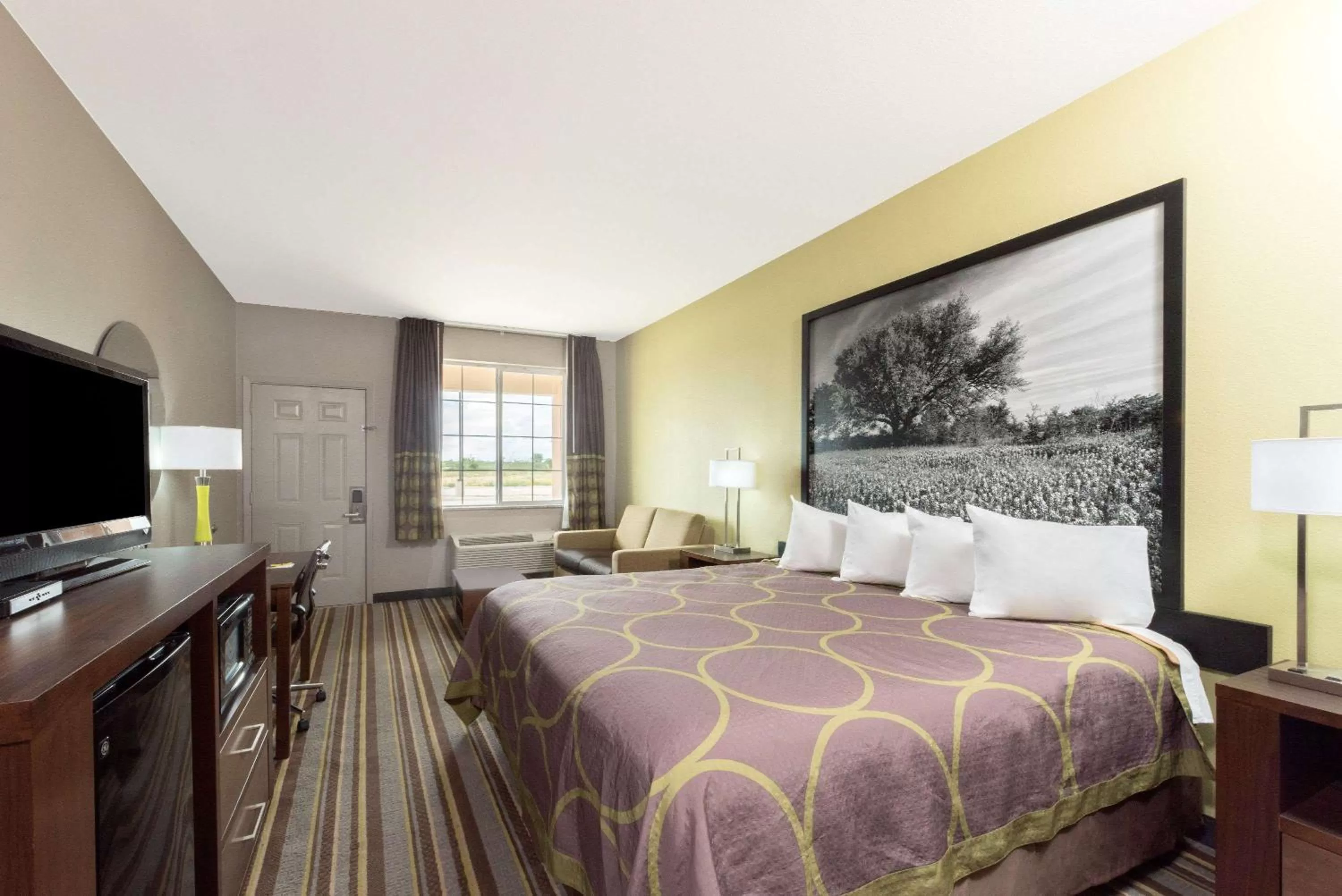 Photo of the whole room in Super 8 by Wyndham Colorado City