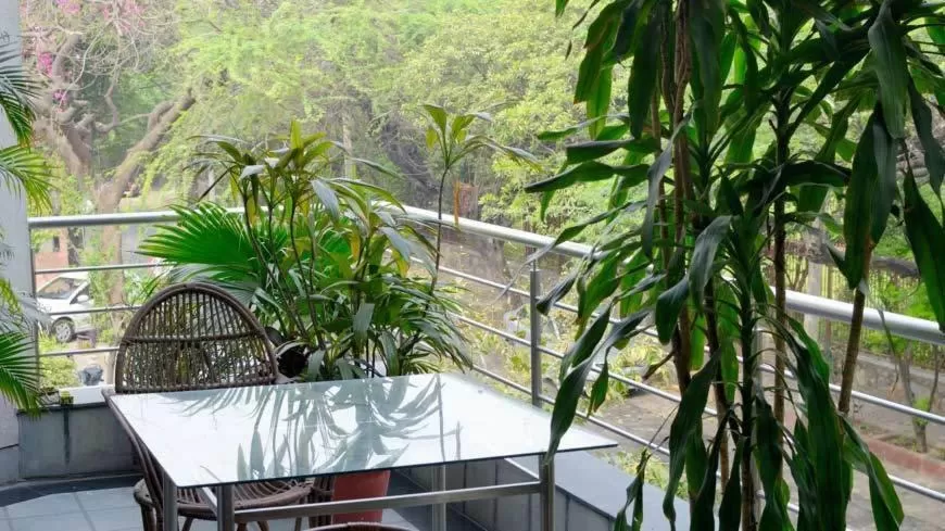 Day, Restaurant/Places to Eat in B Nineteen