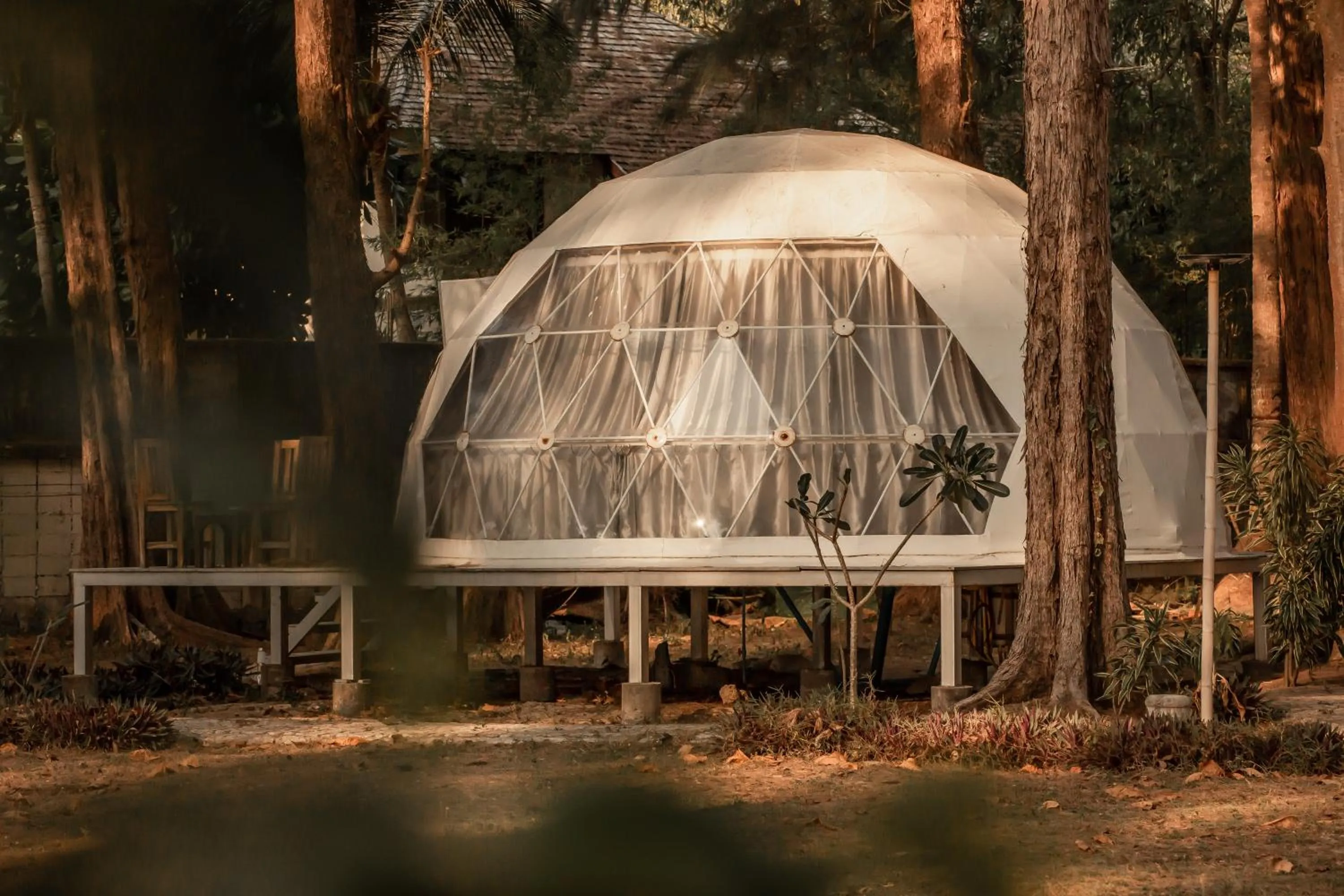 Garden view in Eco Lanta Hideaway Beach Resort