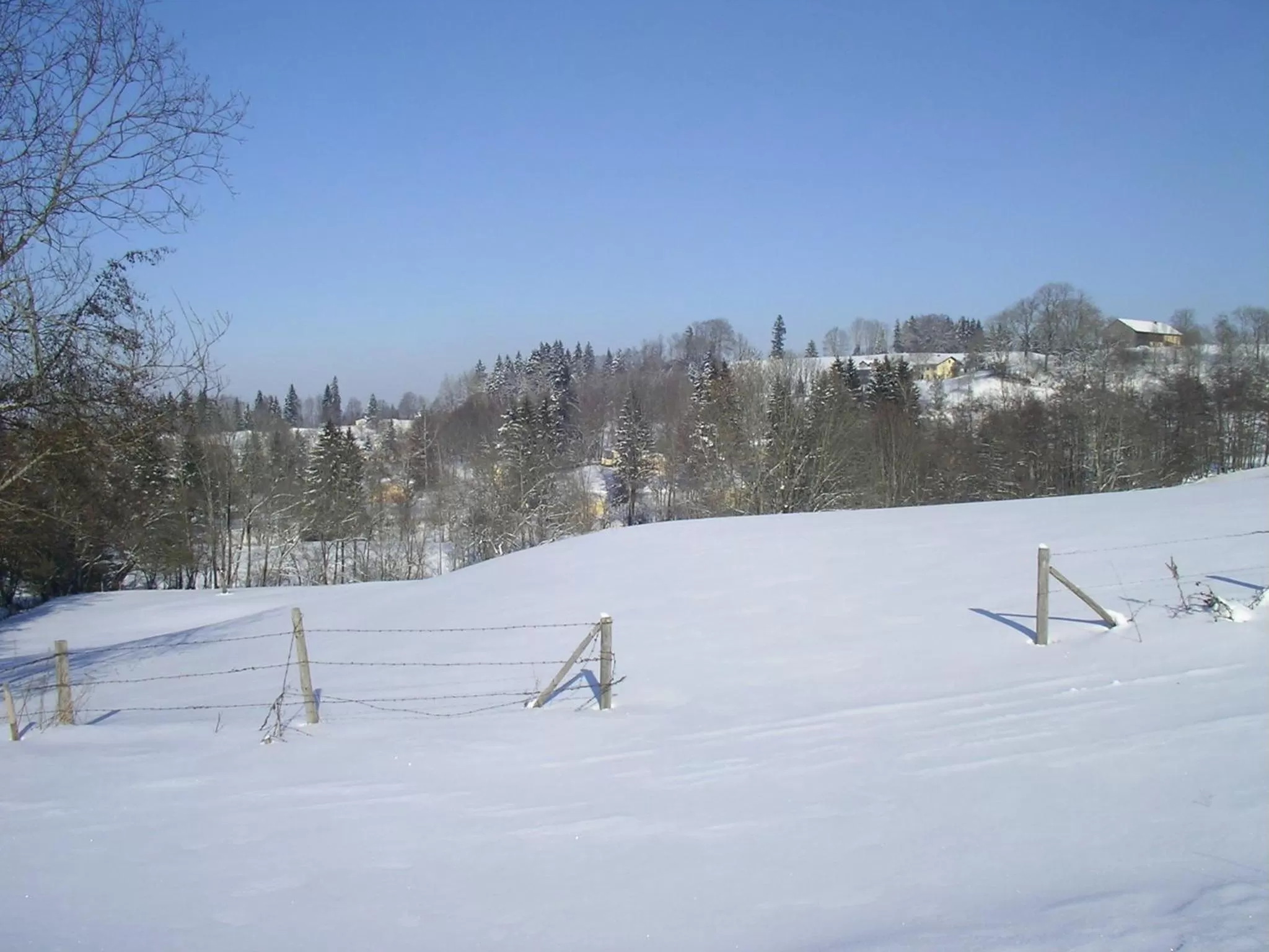 Natural landscape in Das Allgäu
