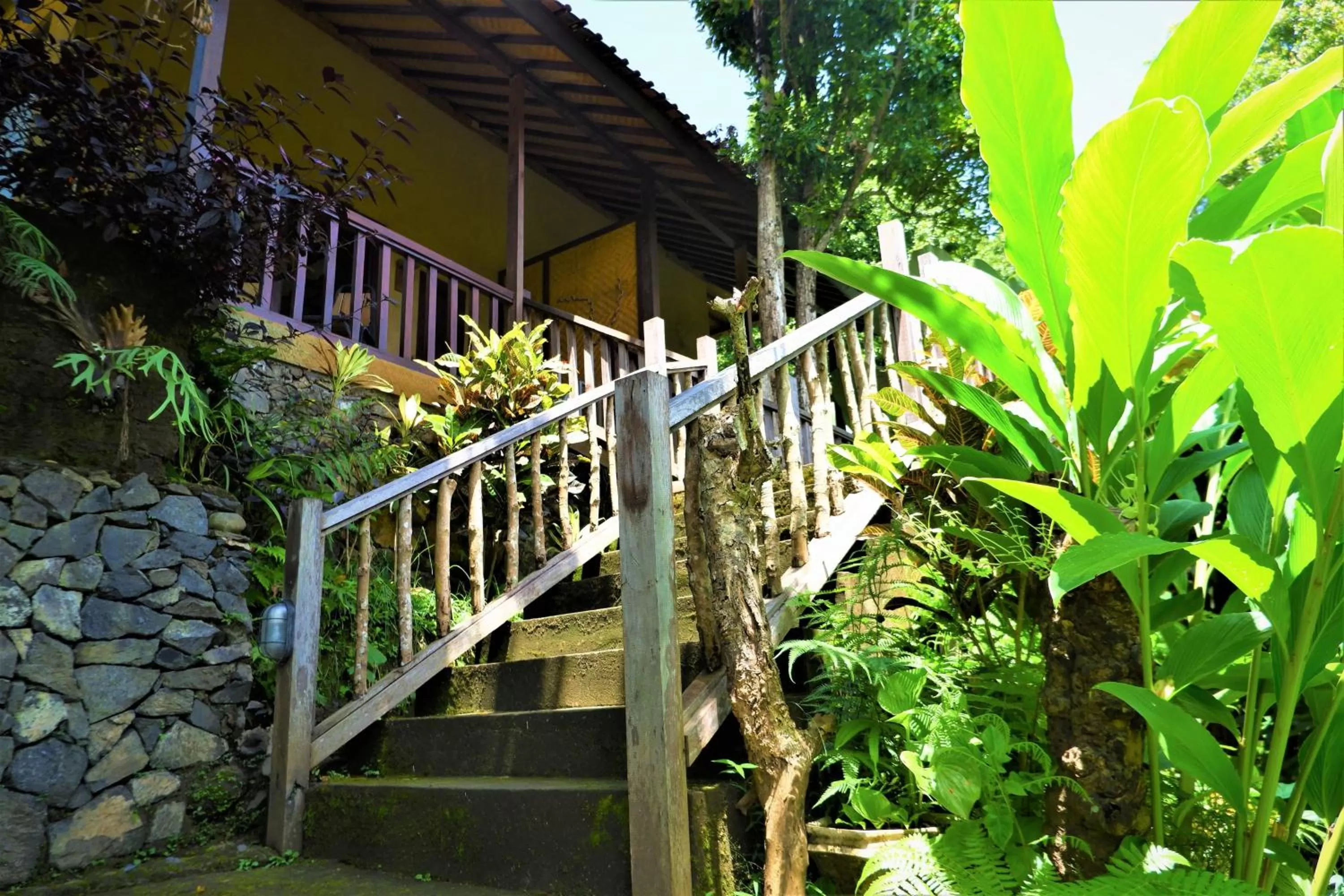 Property building in Swar Bali Lodge