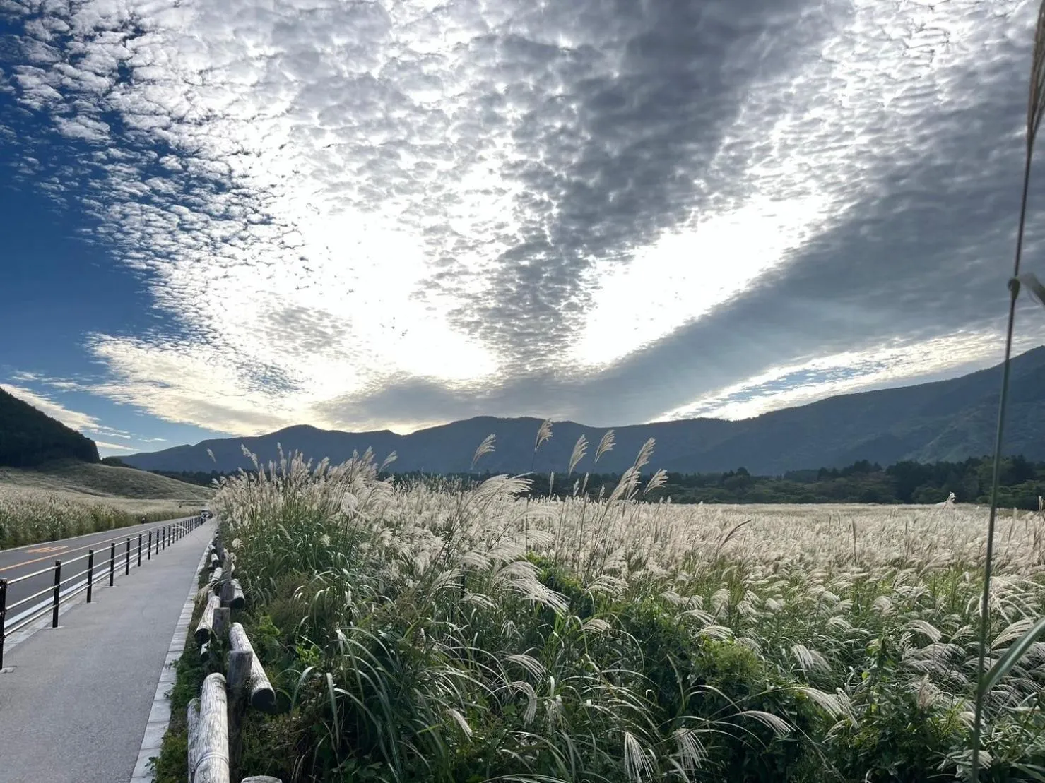 Natural landscape in Fuji-Hakone Guest House