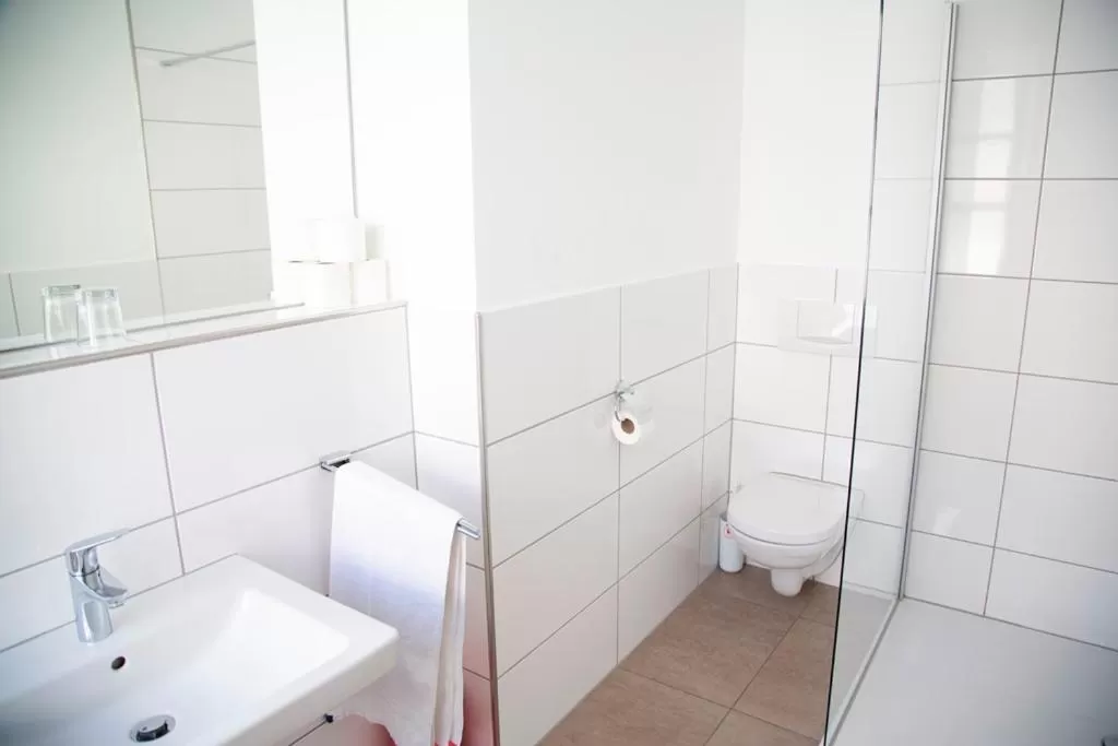 Shower in Hotel Zum Goldenen Stern