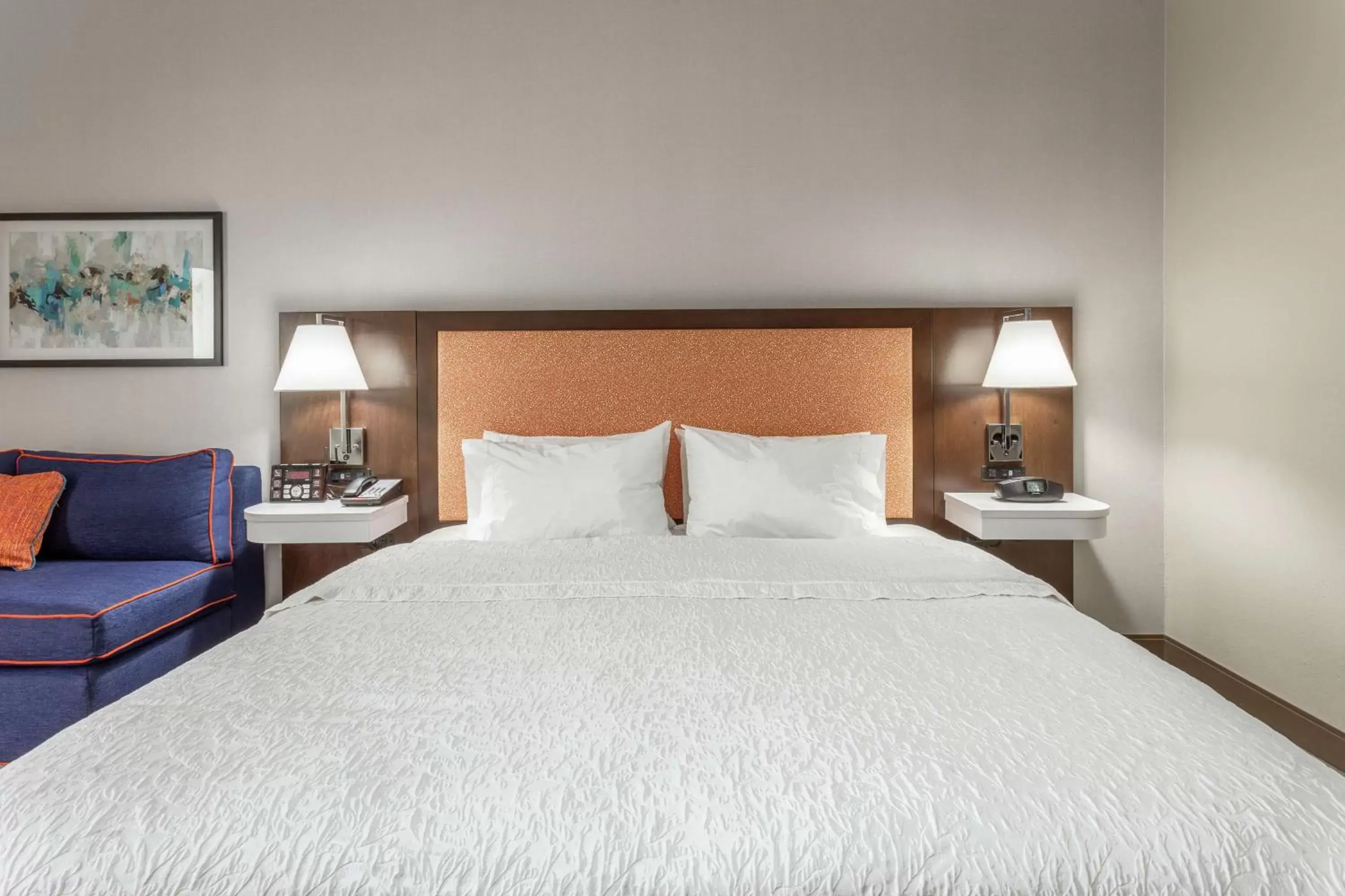 King Room with Roll-In Shower - Mobility Access/Non-Smoking in Hampton Inn Jefferson City at Capital Mall King Room with Roll-In Shower - Mobility Access/Non-Smoking in Hampton Inn Jefferson City at Capital Mall