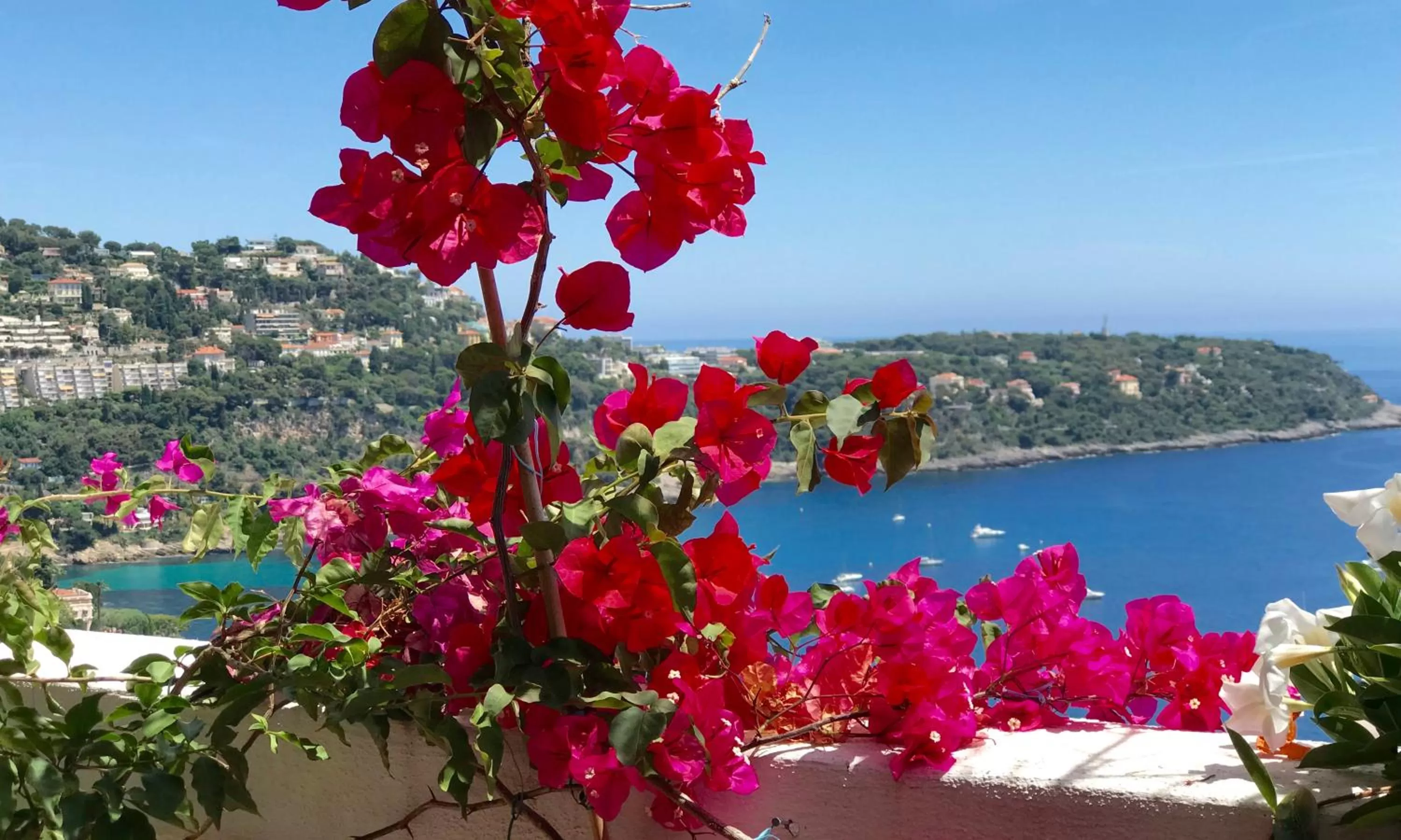 Decorative detail in Les Lilas