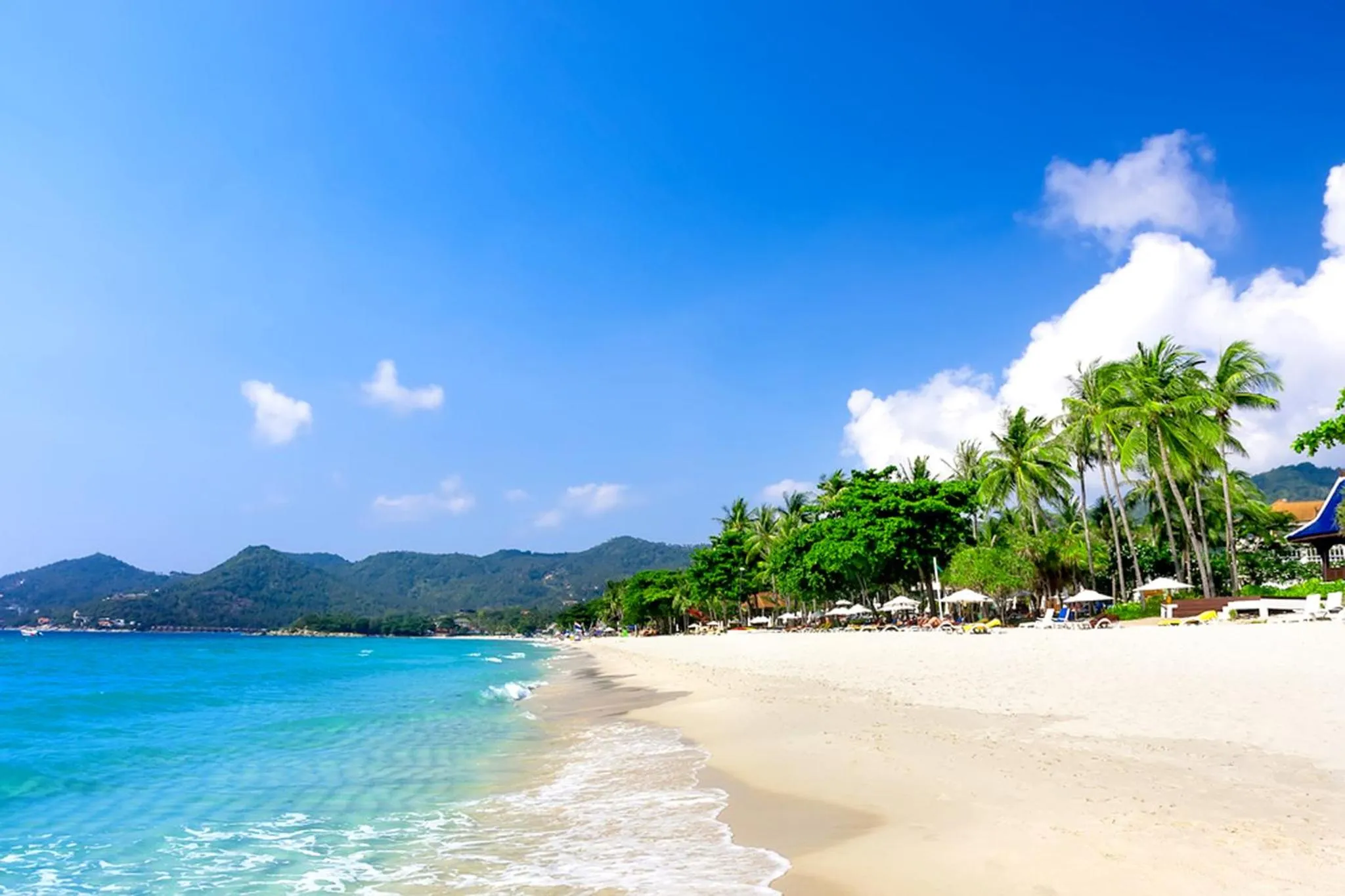 Day in Lotus Friendly Hotel