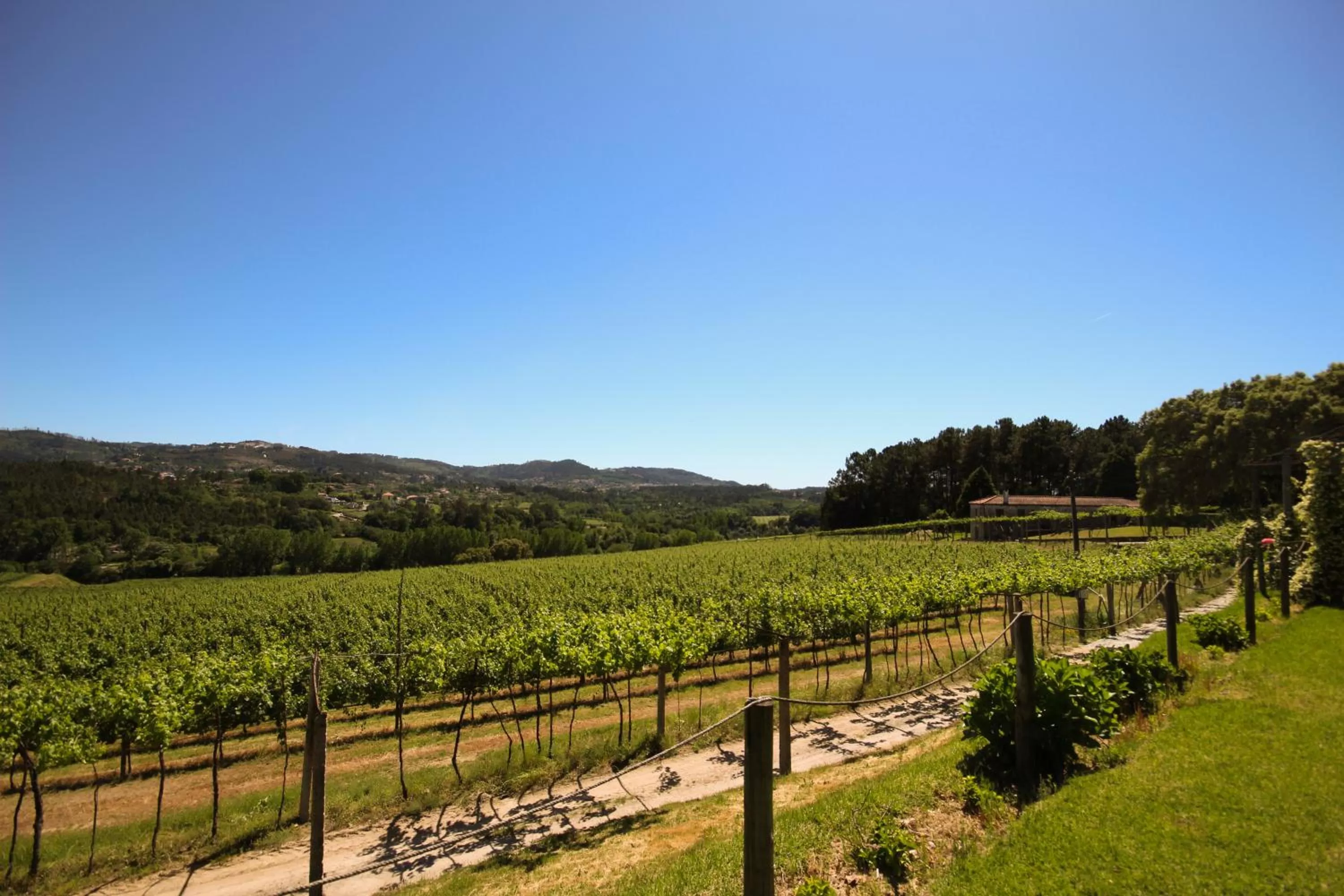 Natural landscape in B&B Villa Branca Barreiros AL98139