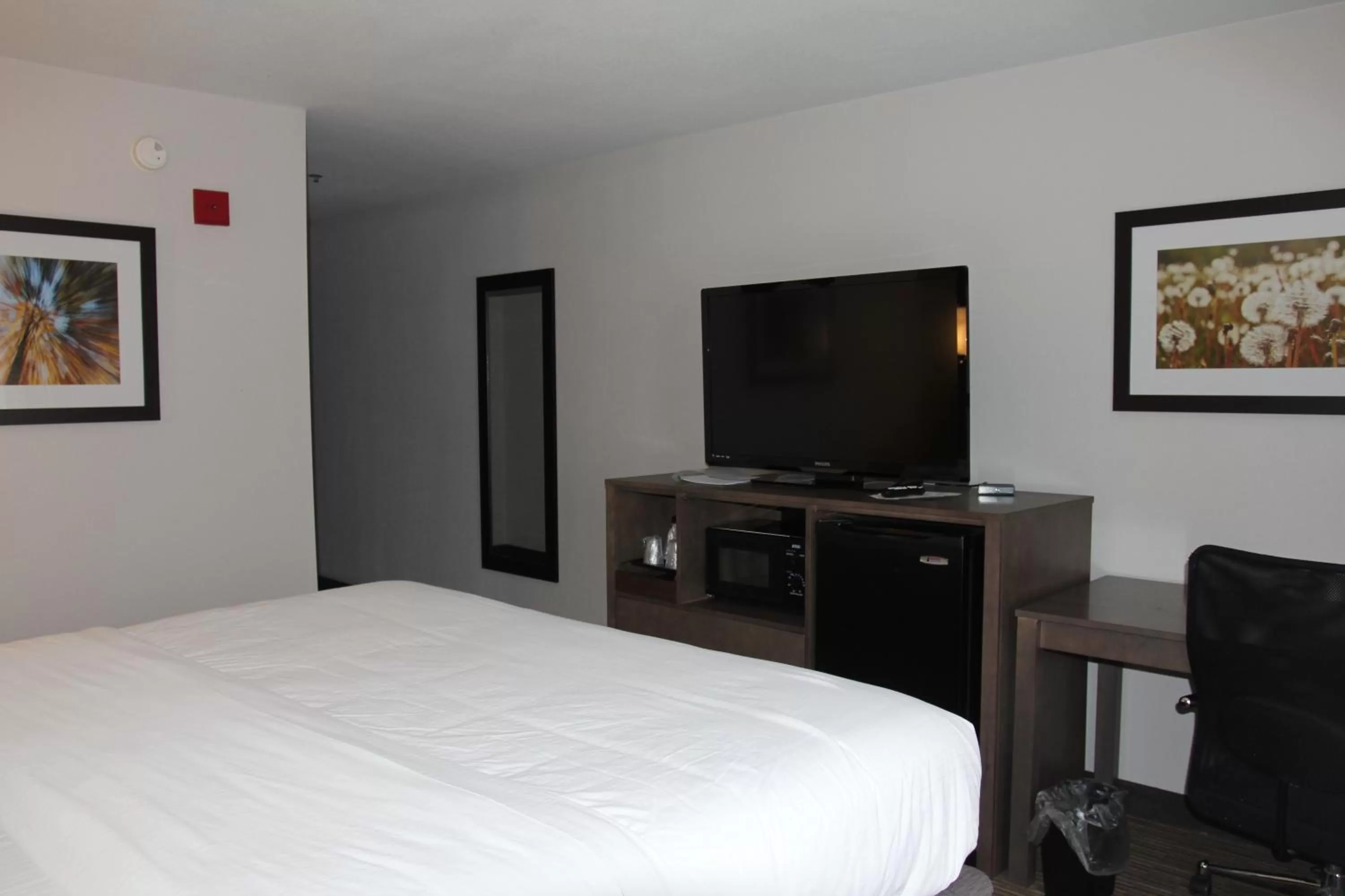 TV and multimedia, Bed in Holiday Inn Express & Suites Sweetwater by IHG