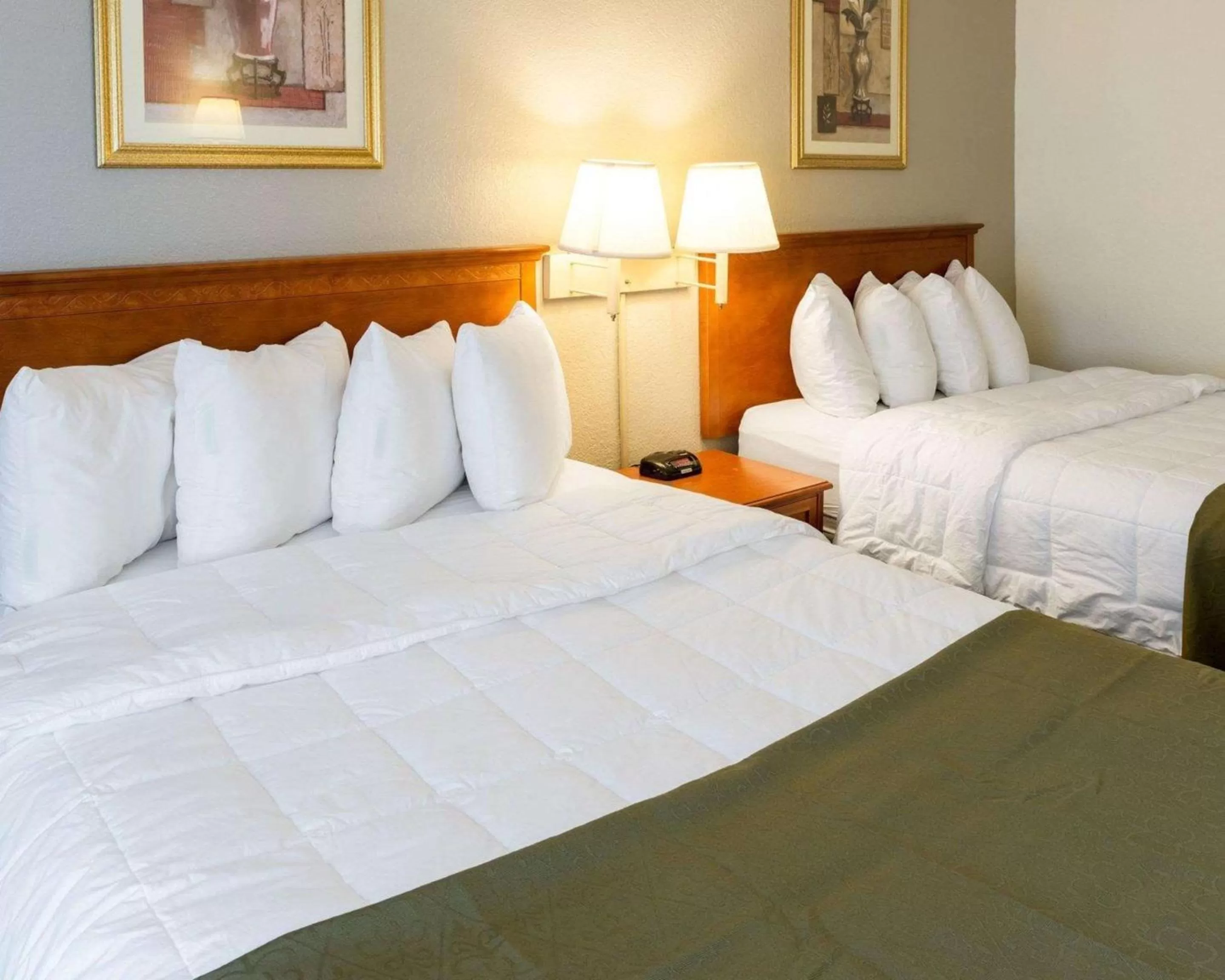 Photo of the whole room, Bed in Quality Inn Savage - Bloomington West