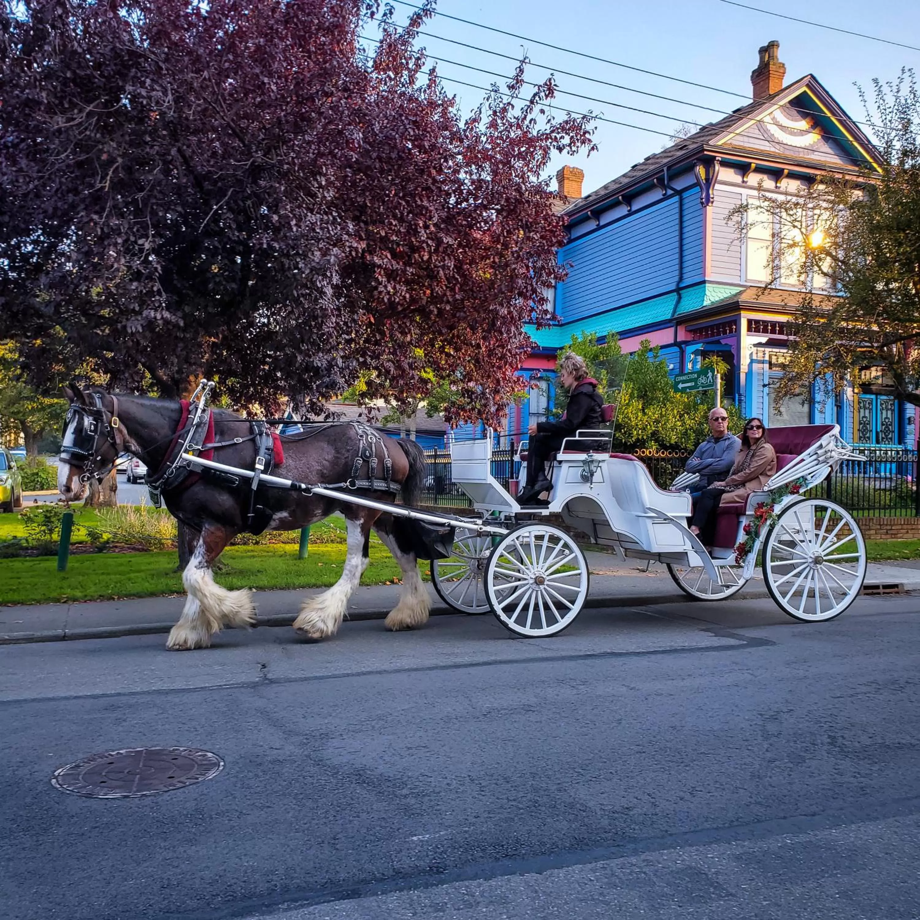View (from property/room) in James Bay Inn Hotel, Suites & Cottage