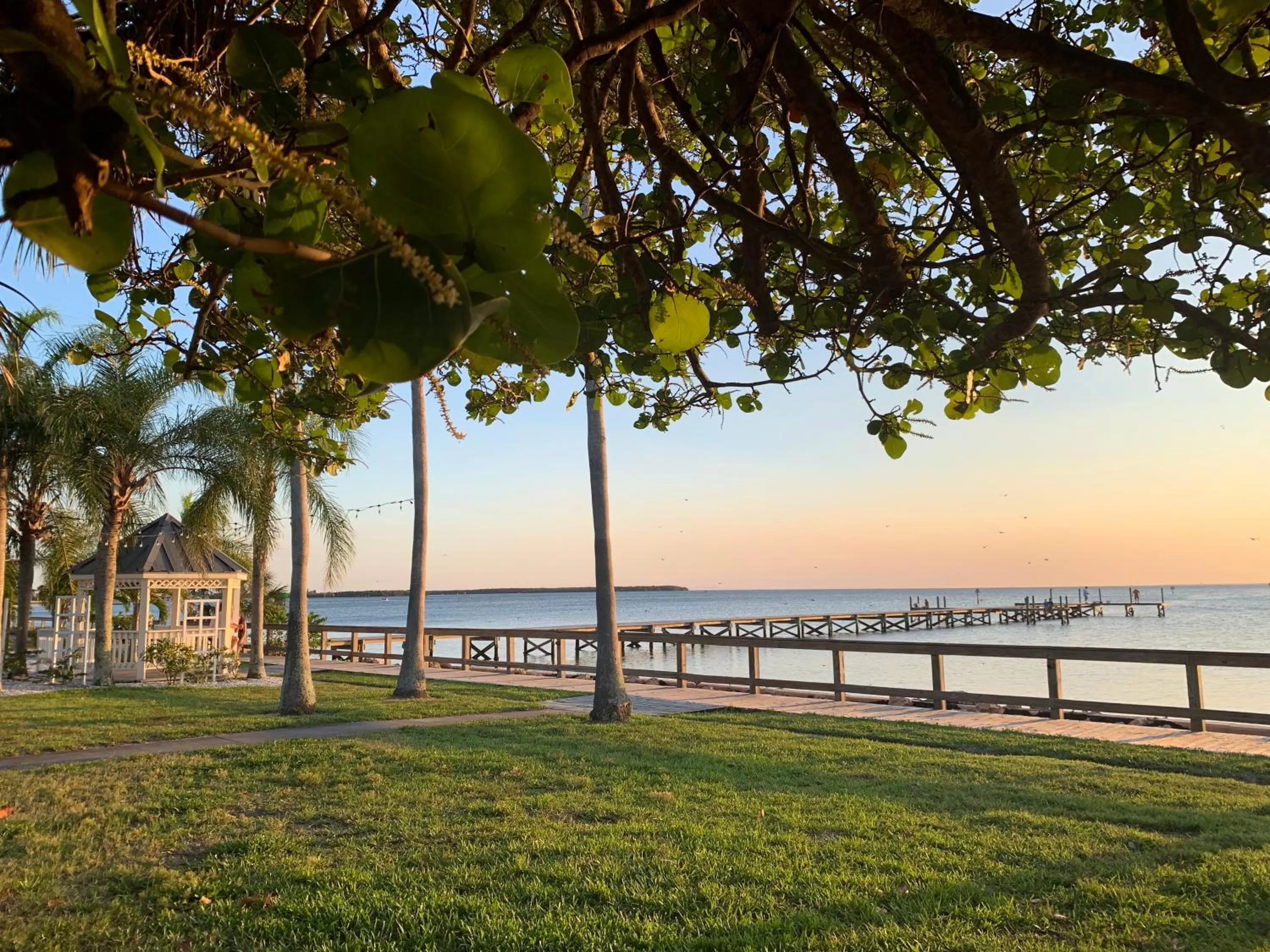 Natural landscape in TAMPA BAY, BEACH step away, WIFI, FREE PARKING,POOLS, JACUZZI