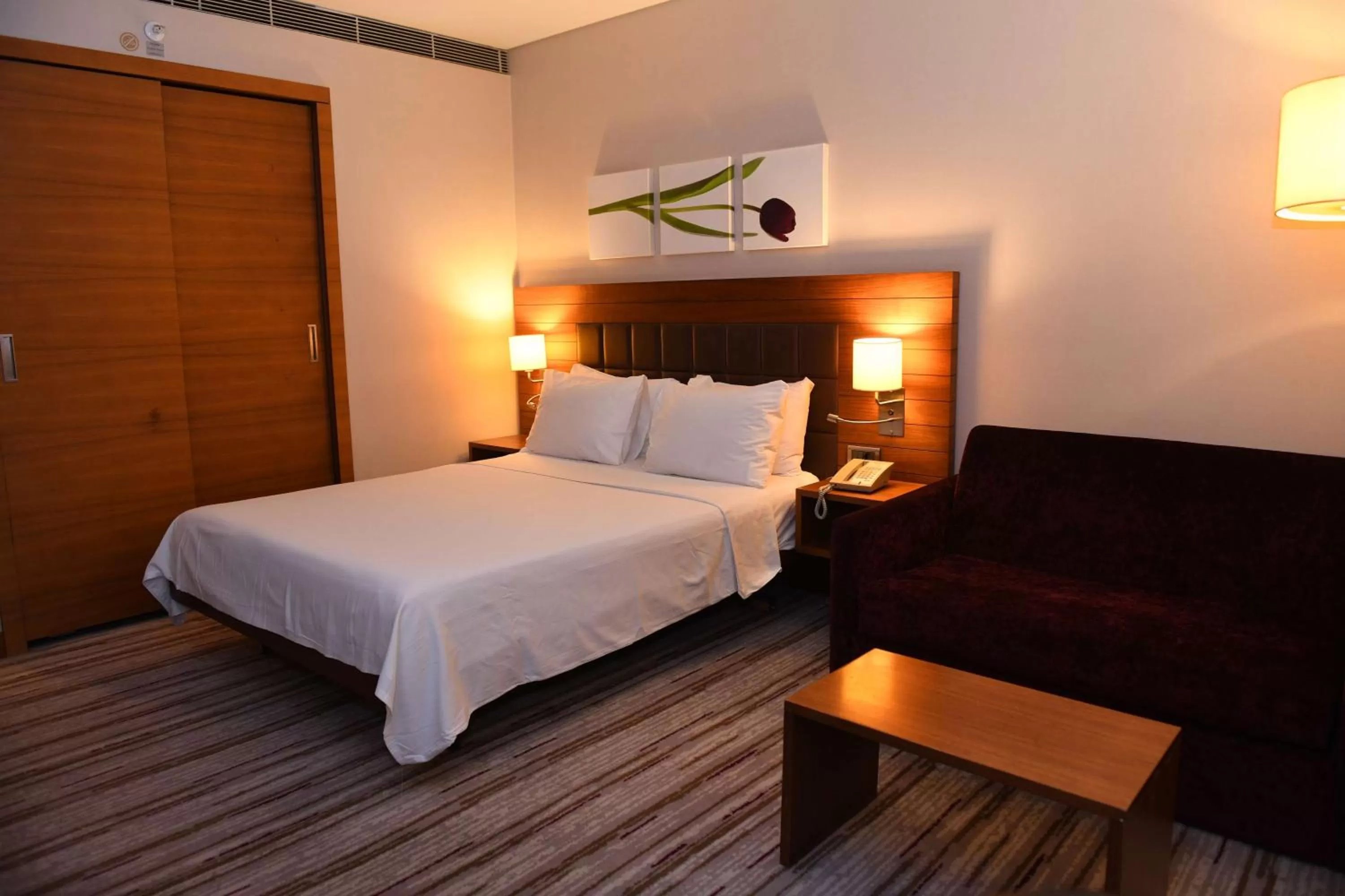 Queen Room - Mobility Access in Hilton Garden Inn Konya