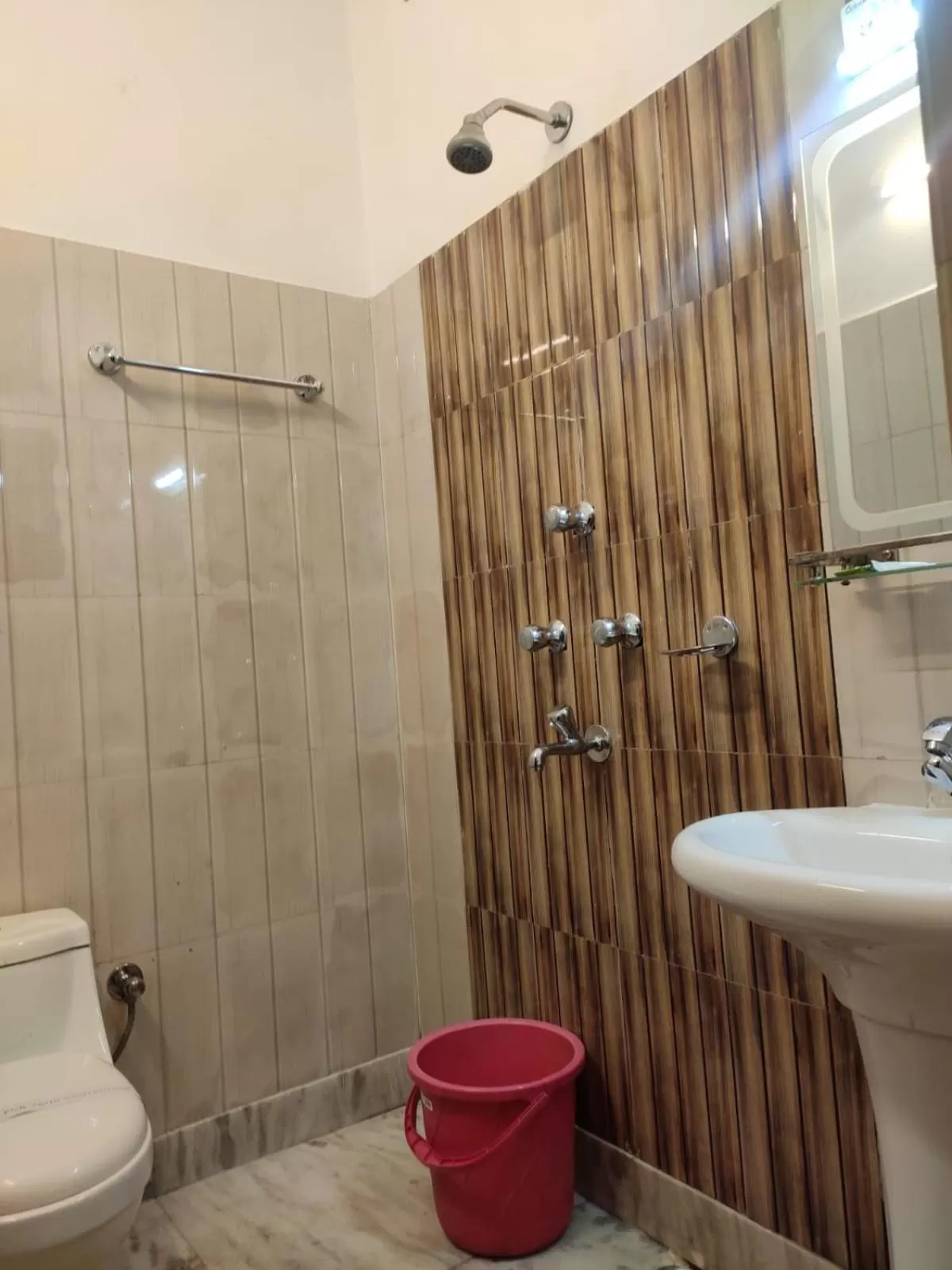 Toilet in Hotel The Narayani Continental