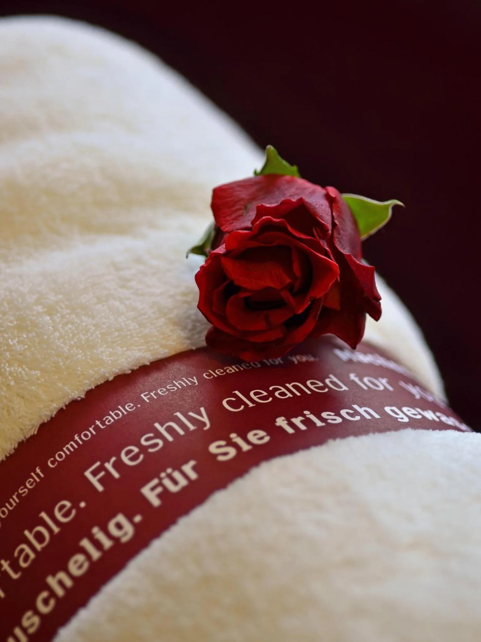 Bedroom in Comfort Hotel tom Kyle