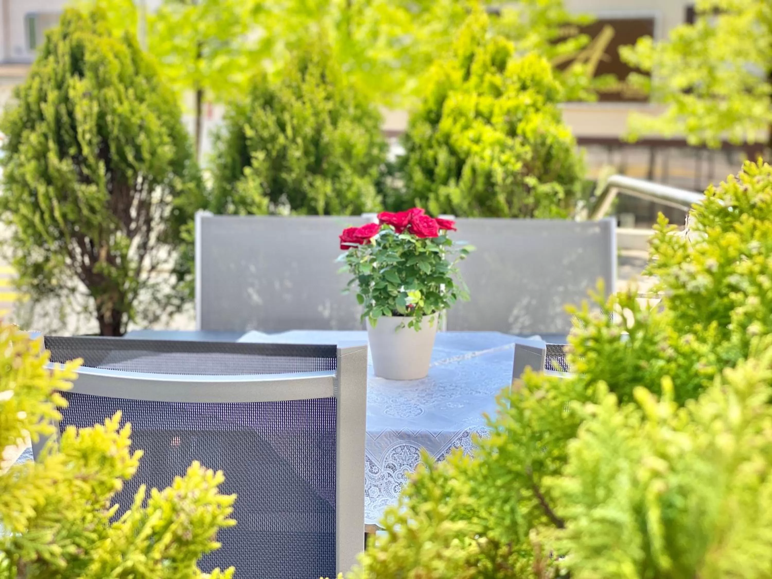 Restaurant/places to eat in Hotel Hirschen Hinwil