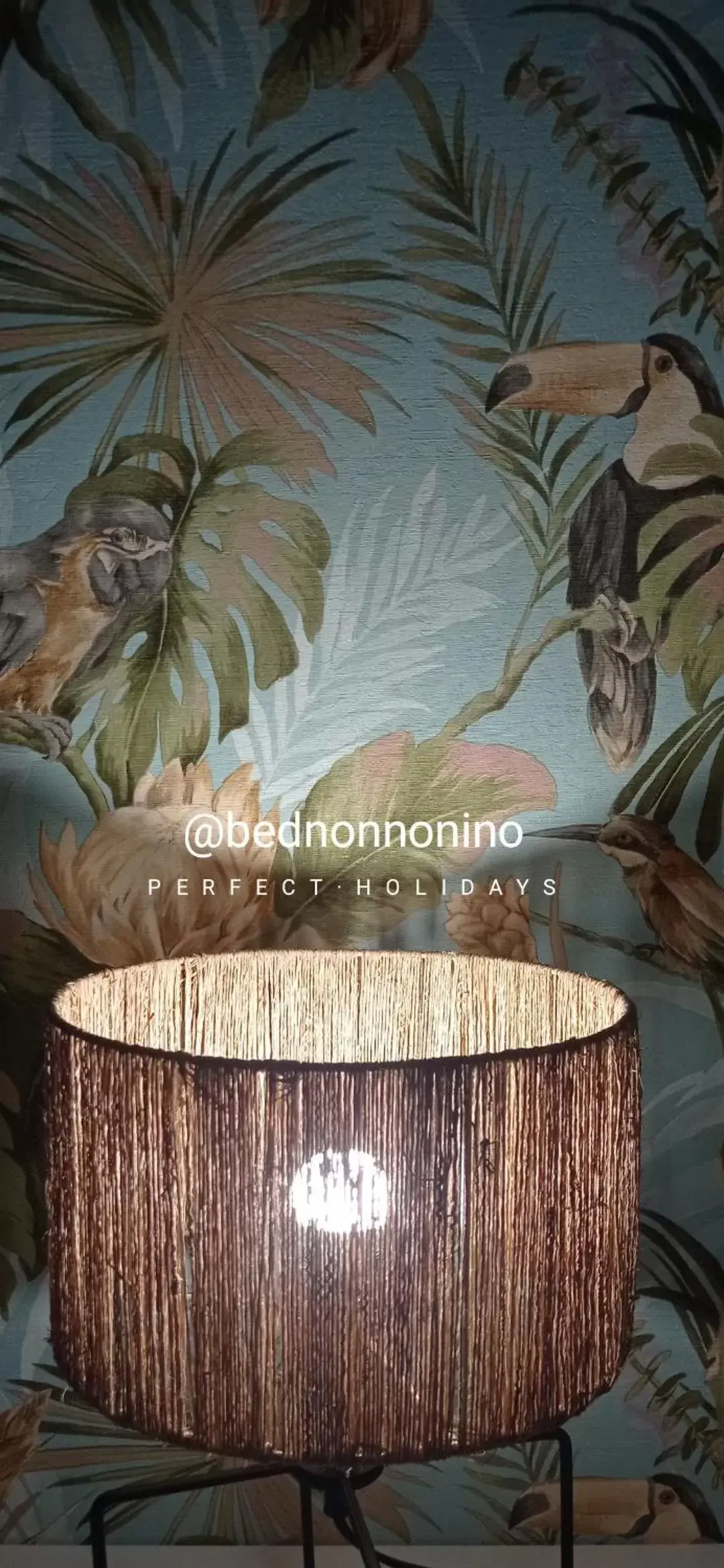 Bed Nonnonino Bed Nonnonino