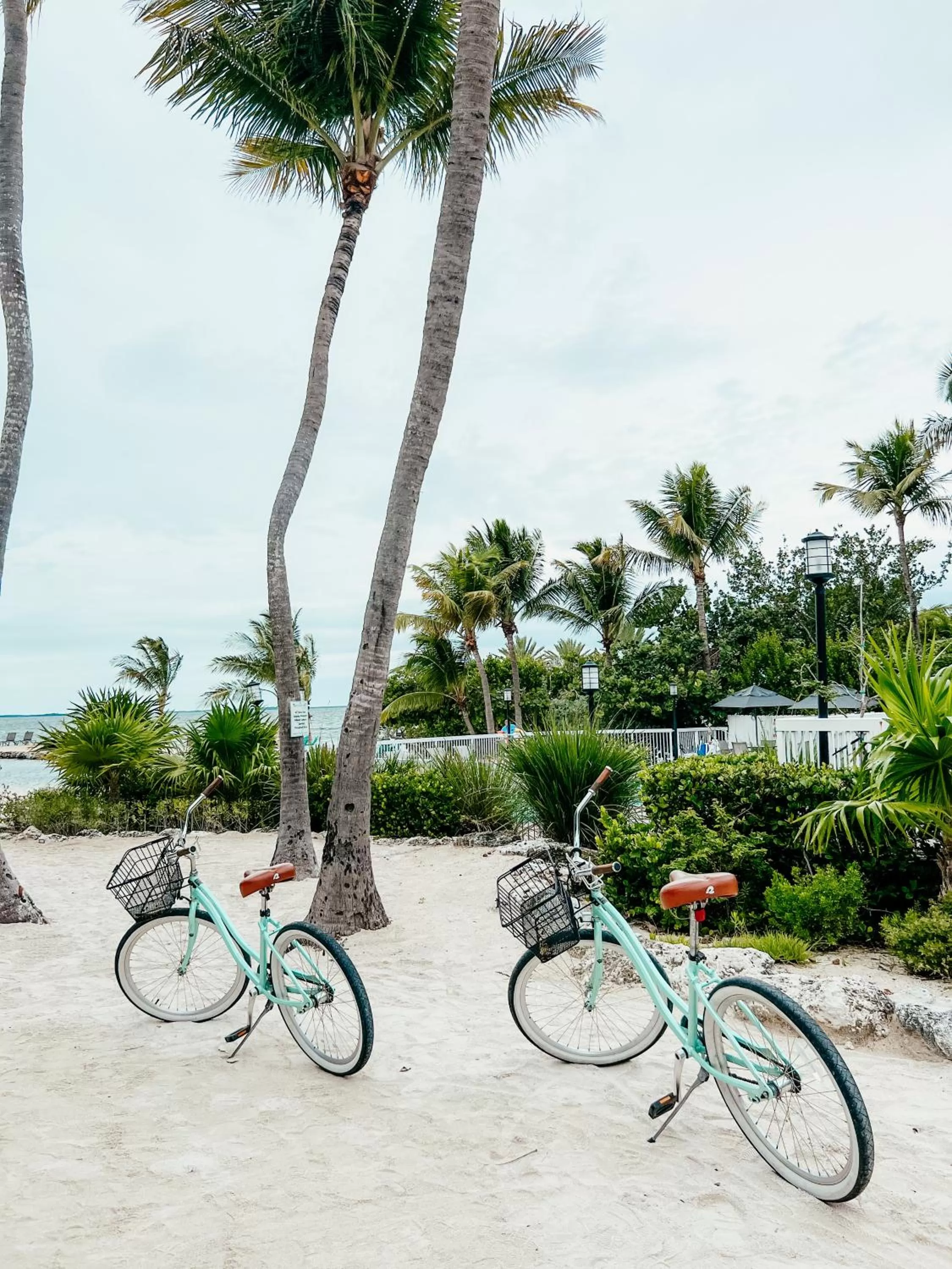 Cycling in Bayside Inn Key Largo